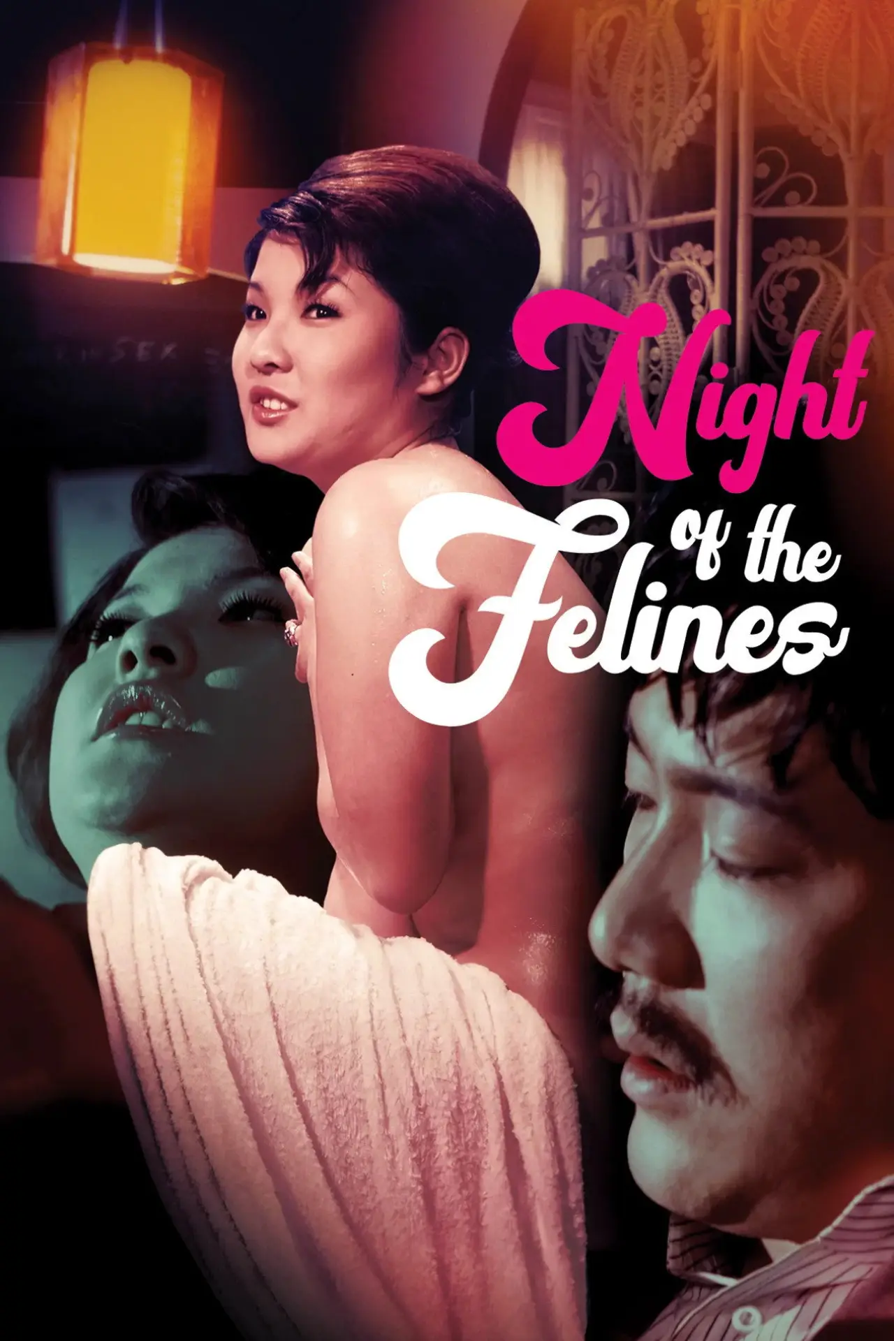 Movie poster "Night of the Felines"