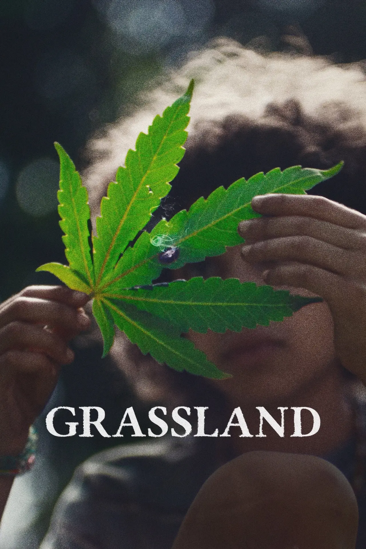 Movie poster "Grassland"