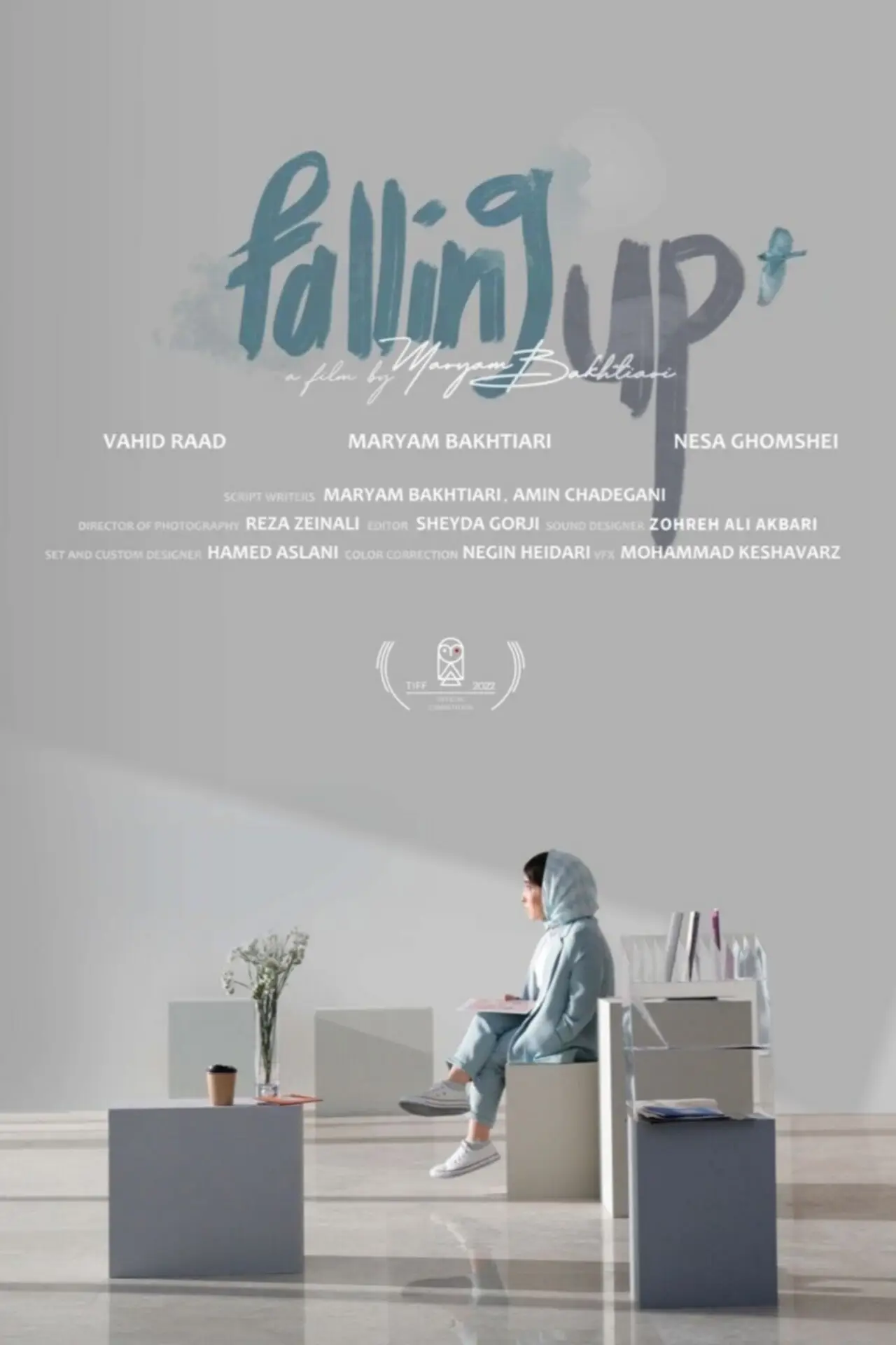 Movie poster "Falling Up"