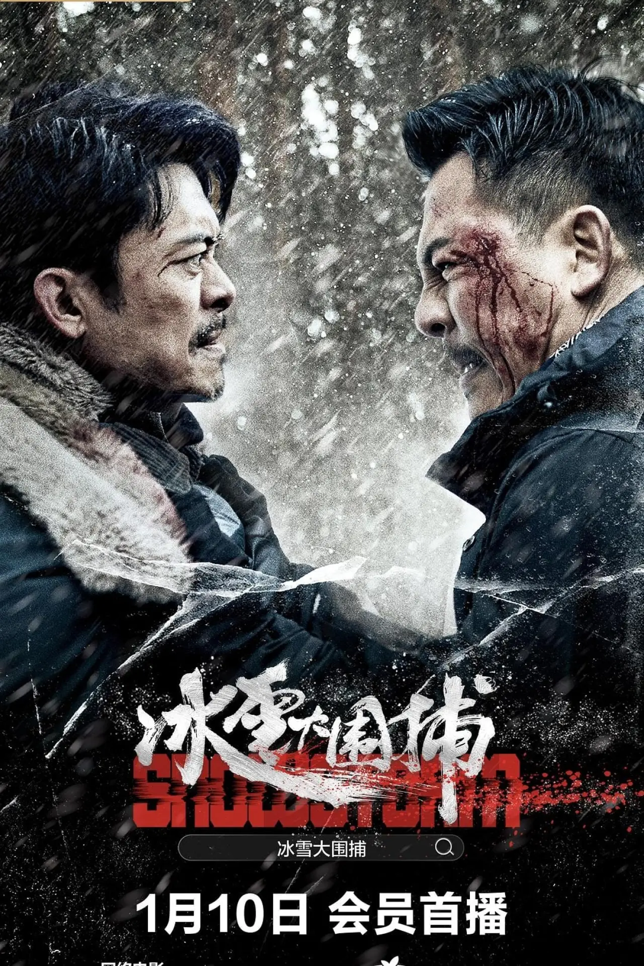 Movie poster "Snowstorm"