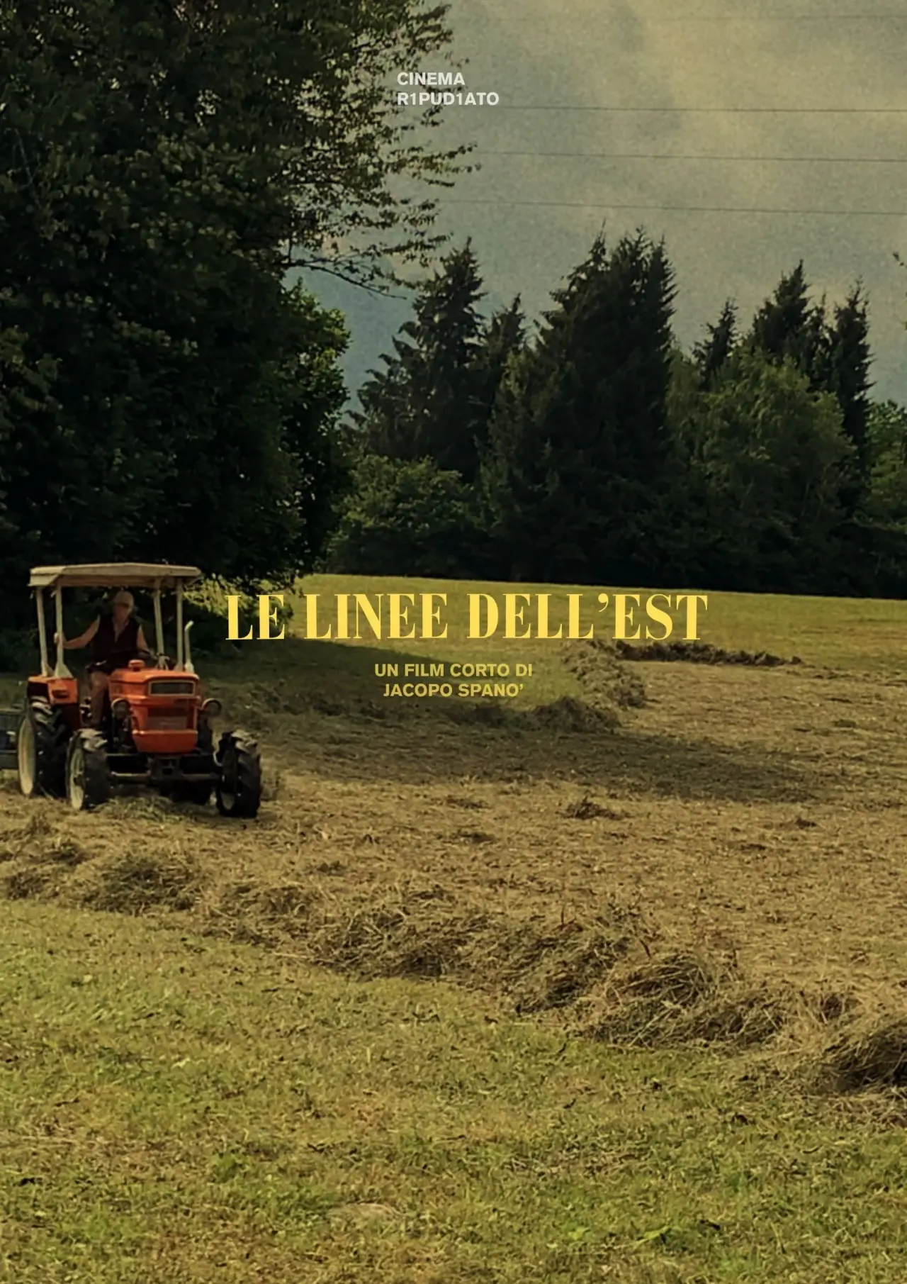 Movie poster "Le linee dell
