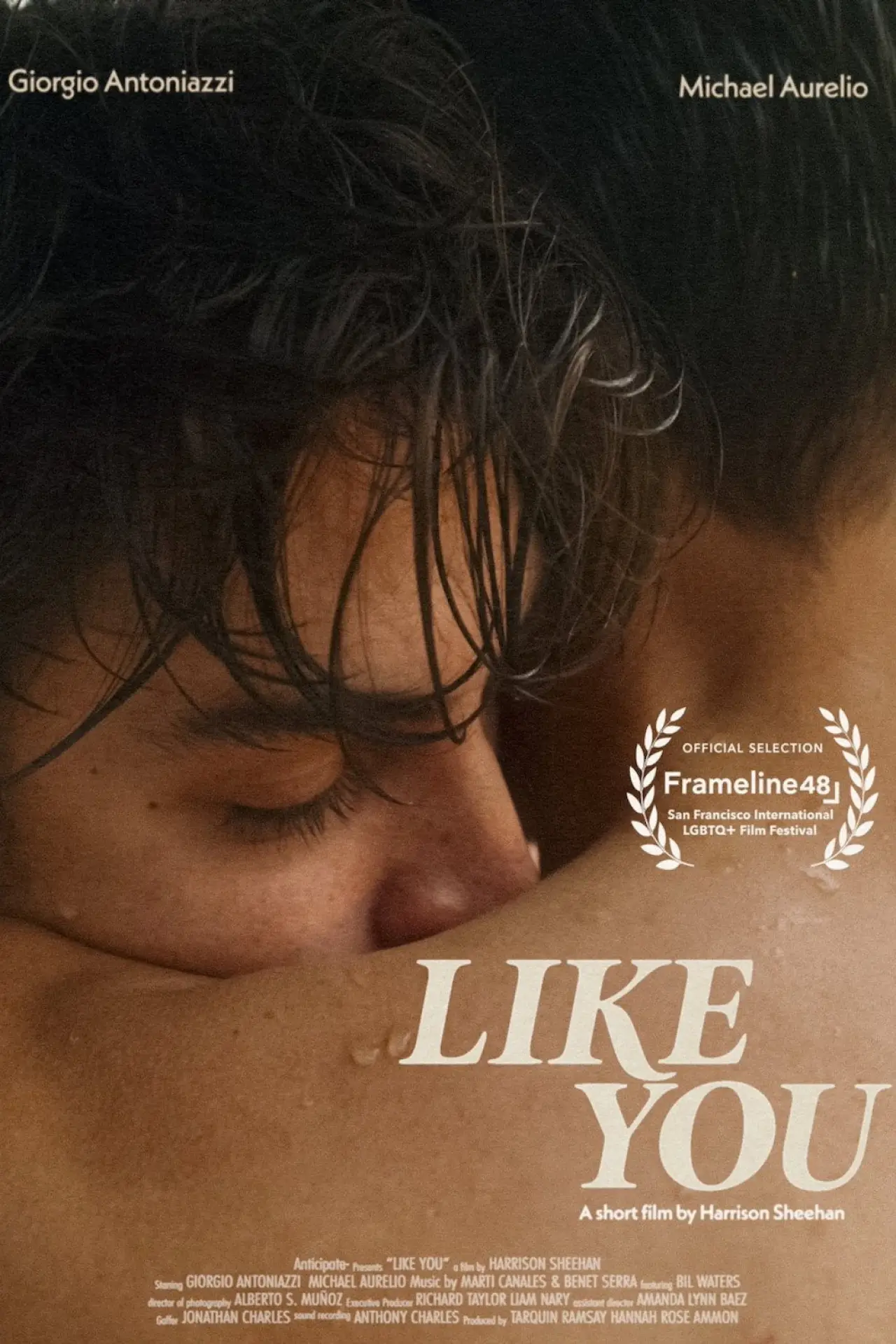 Movie poster "Like You"