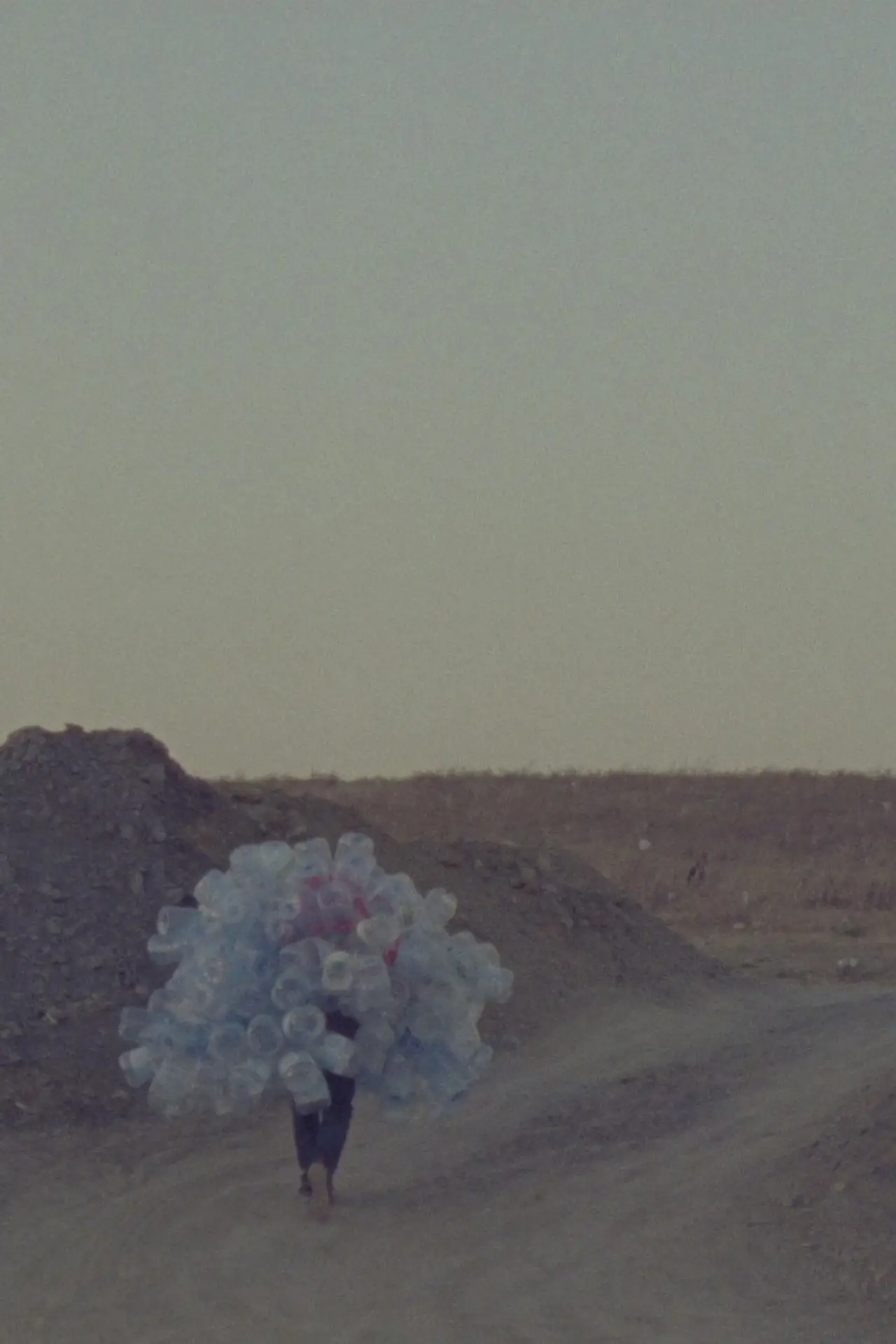 Movie poster "In Praise of Slowness"