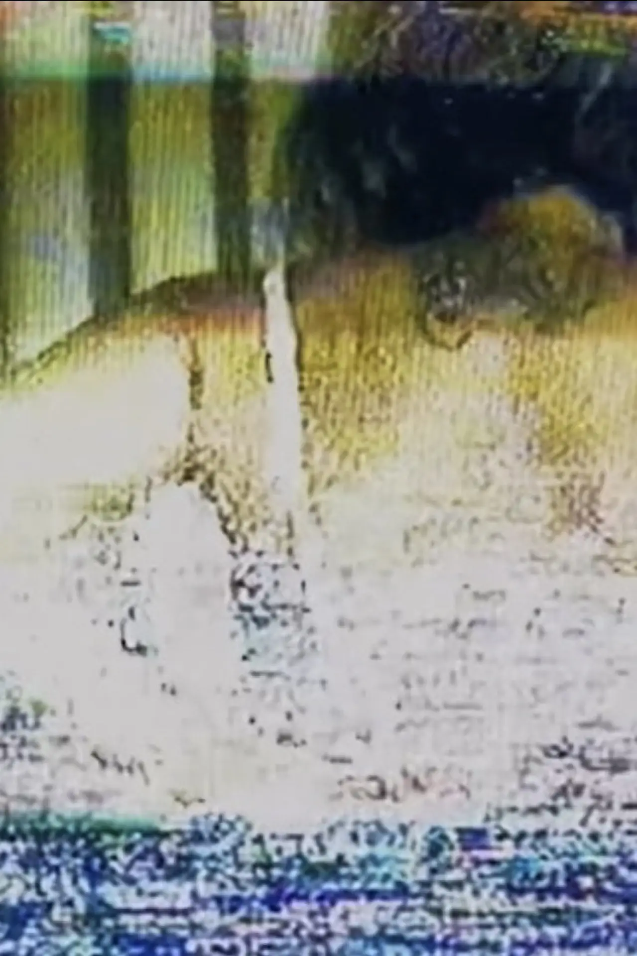 Movie poster "(Auto)retrato"