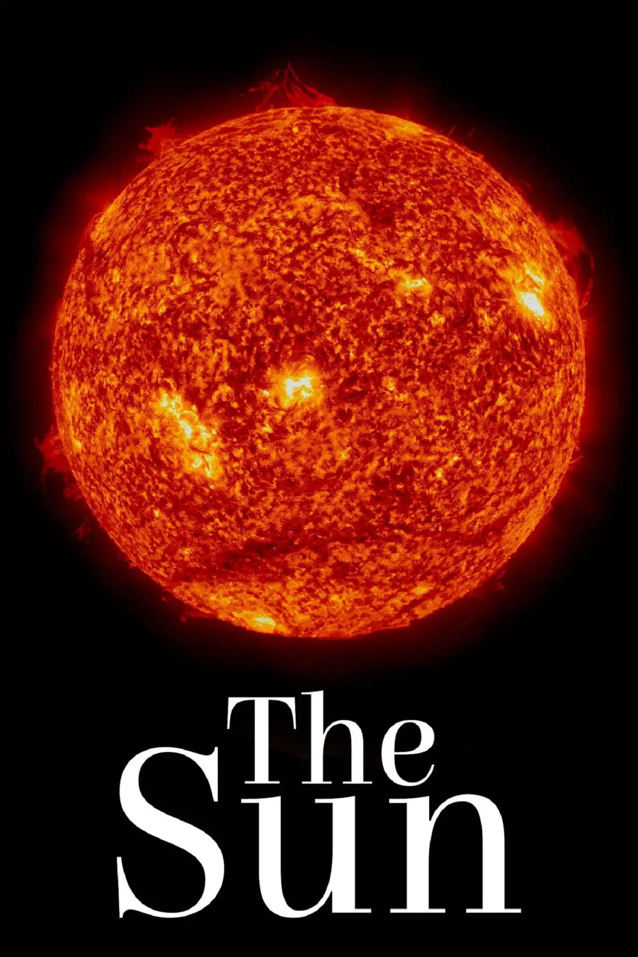 Movie poster "The Sun"