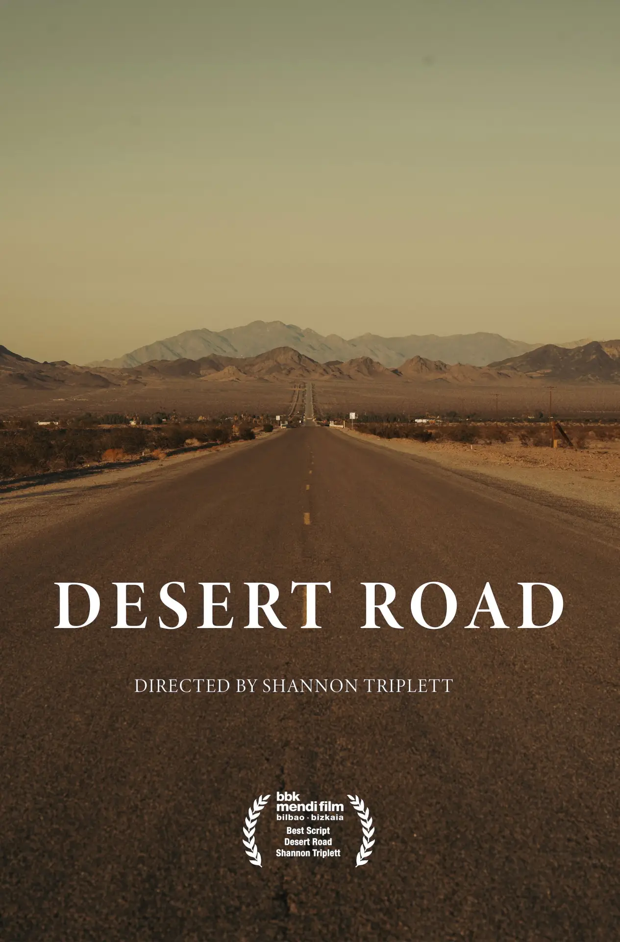Movie poster "Desert Road"