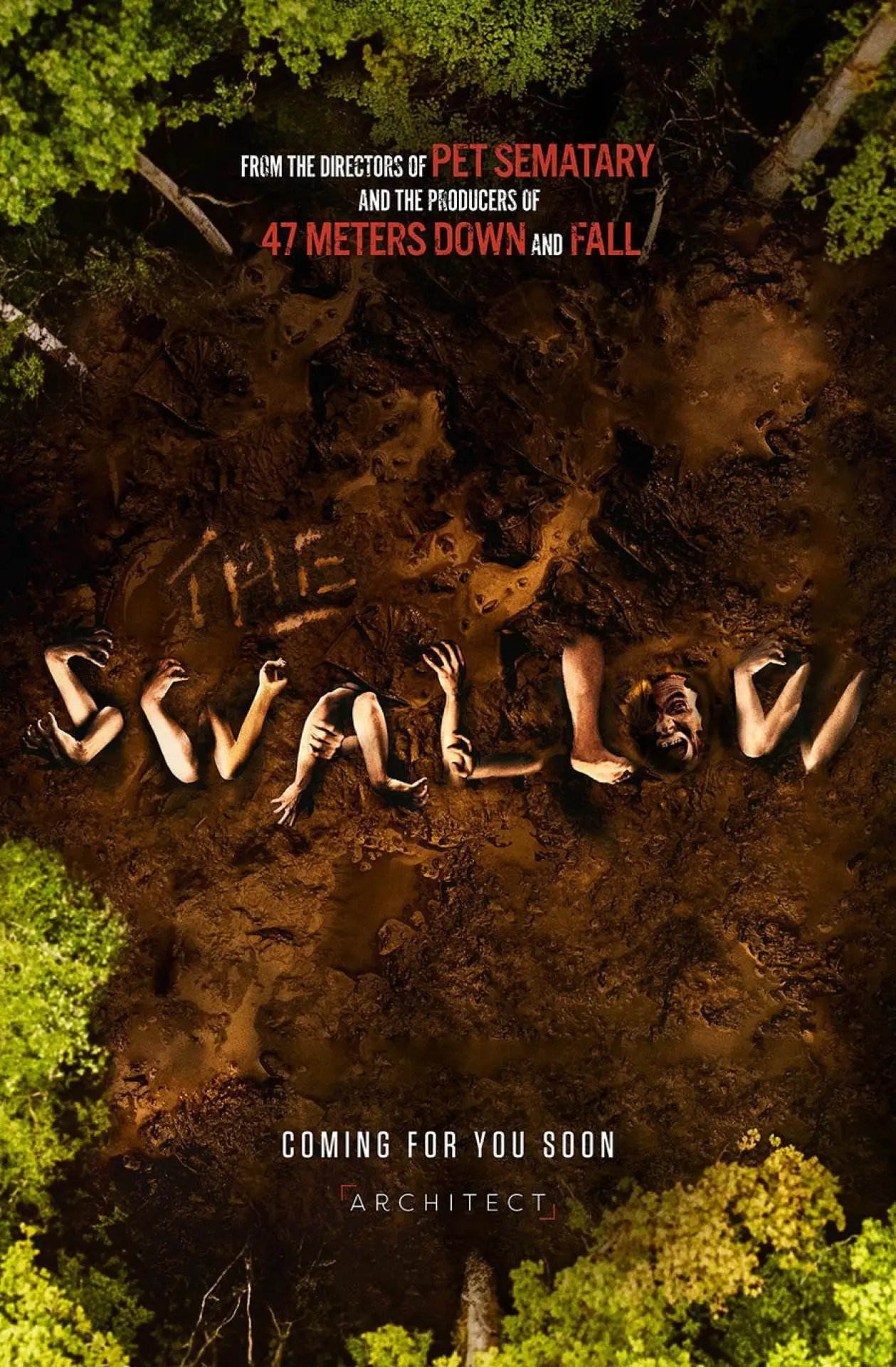 Movie poster "The Swallow"