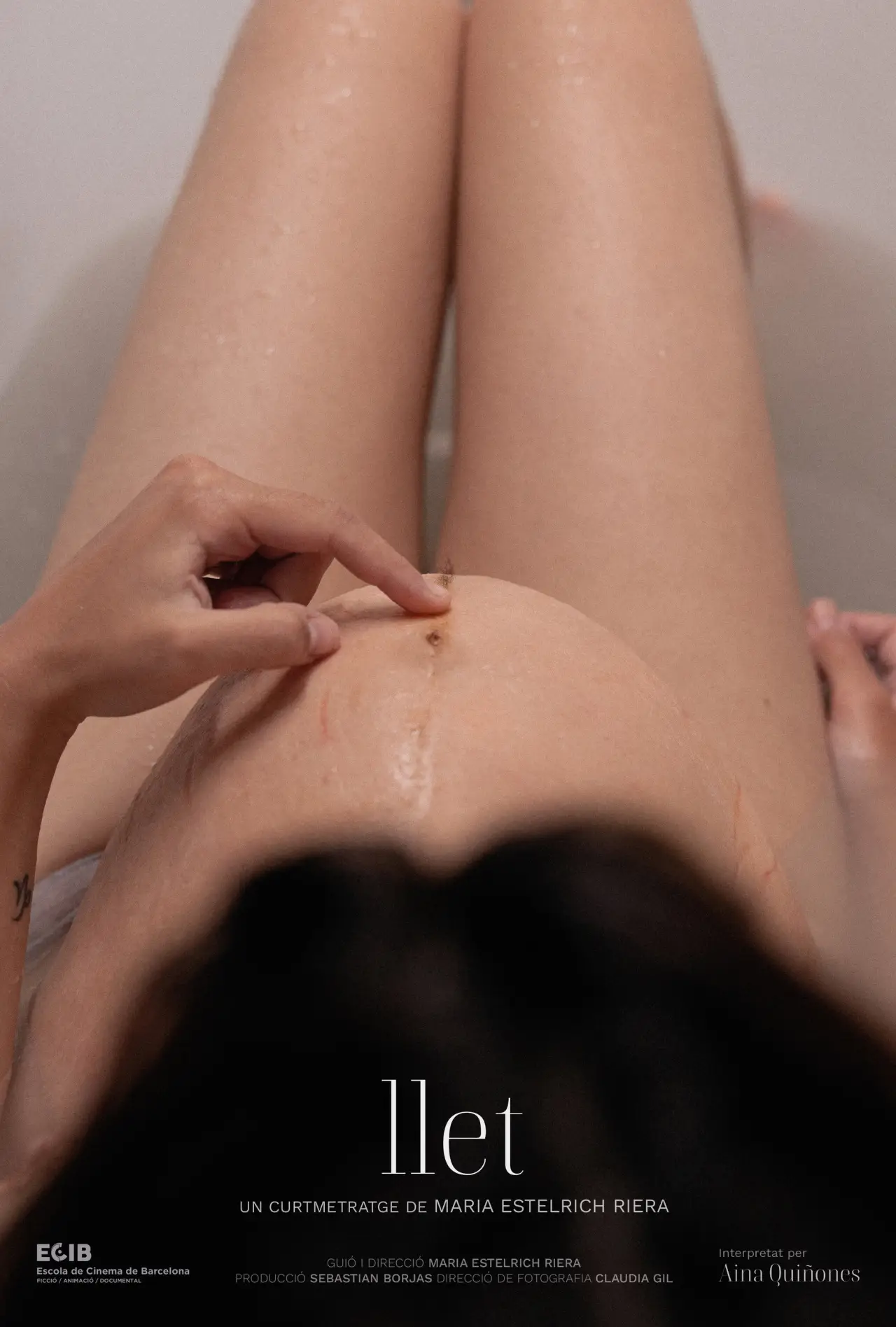 Movie poster "Milk"