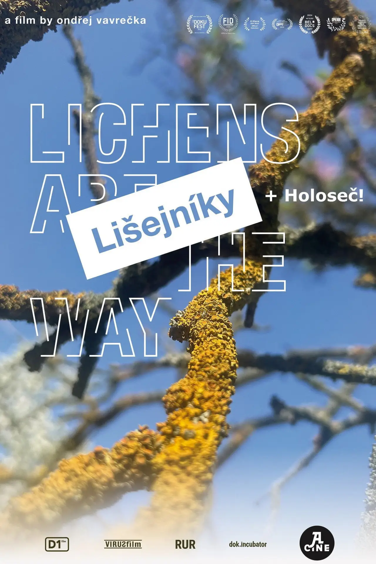 Movie poster "Lichens Are the Way"