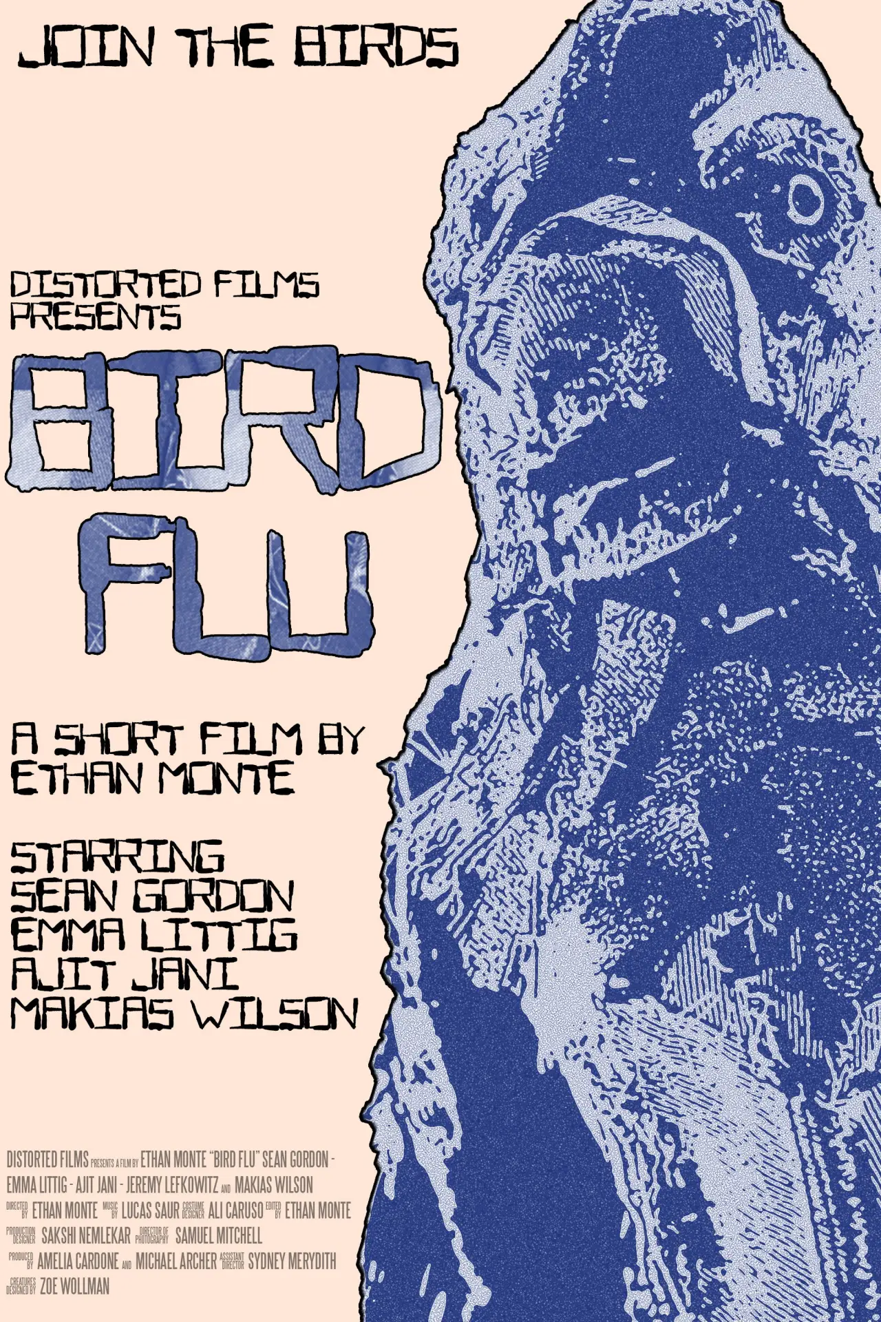 Movie poster "Bird Flu"