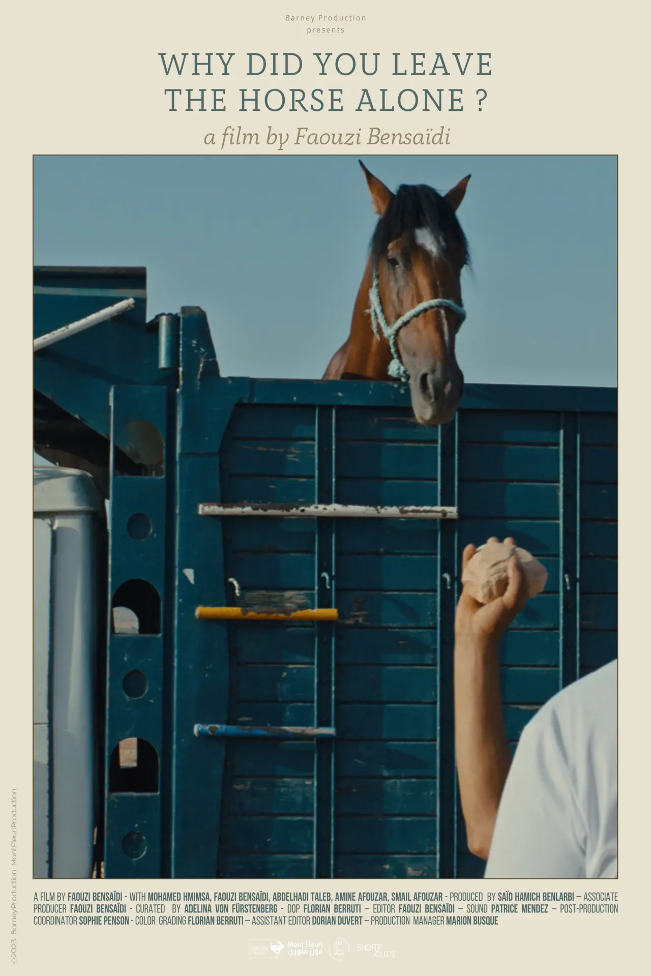 Movie poster "Why Did You Leave the Horse Alone?"