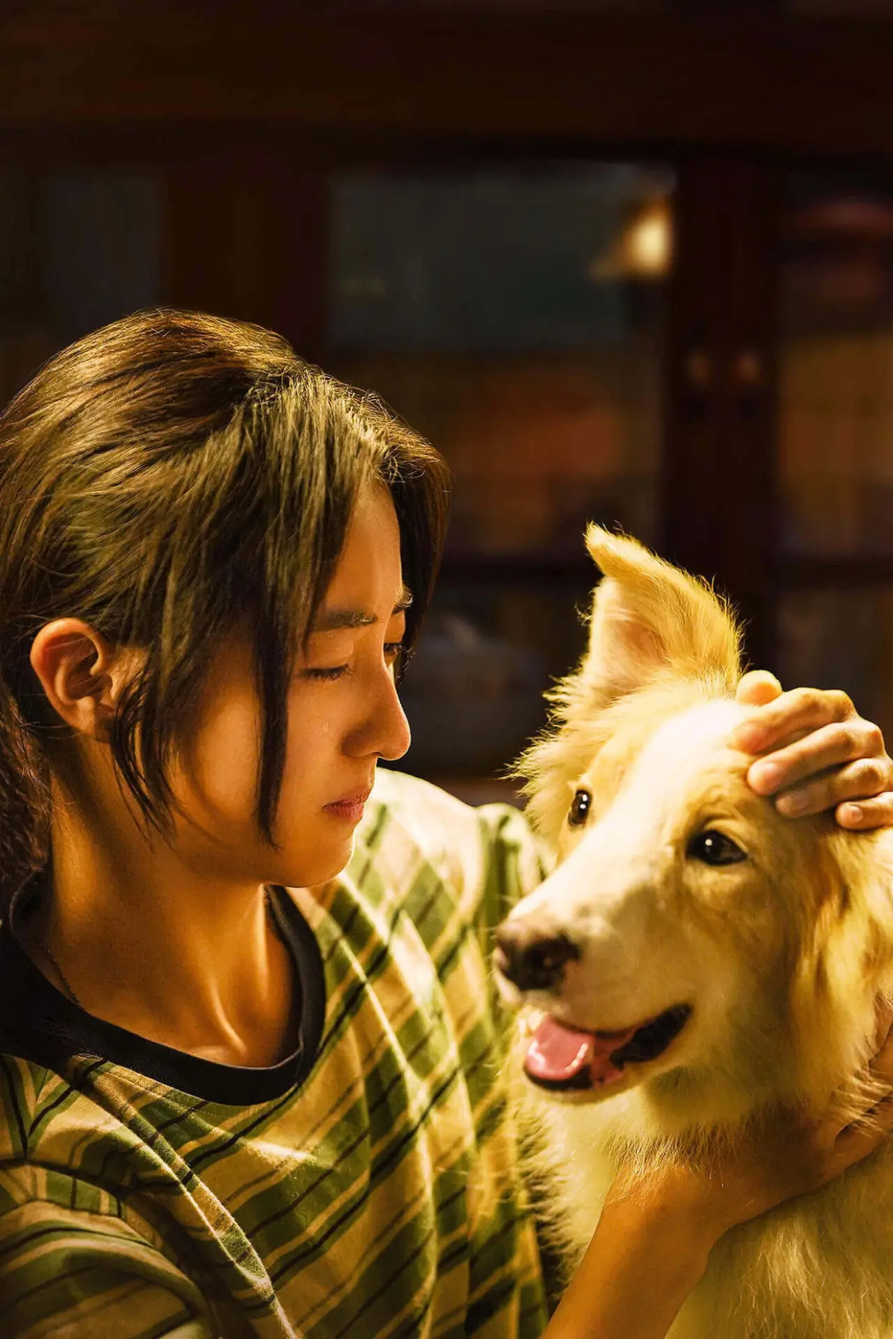 Movie poster "New Life"