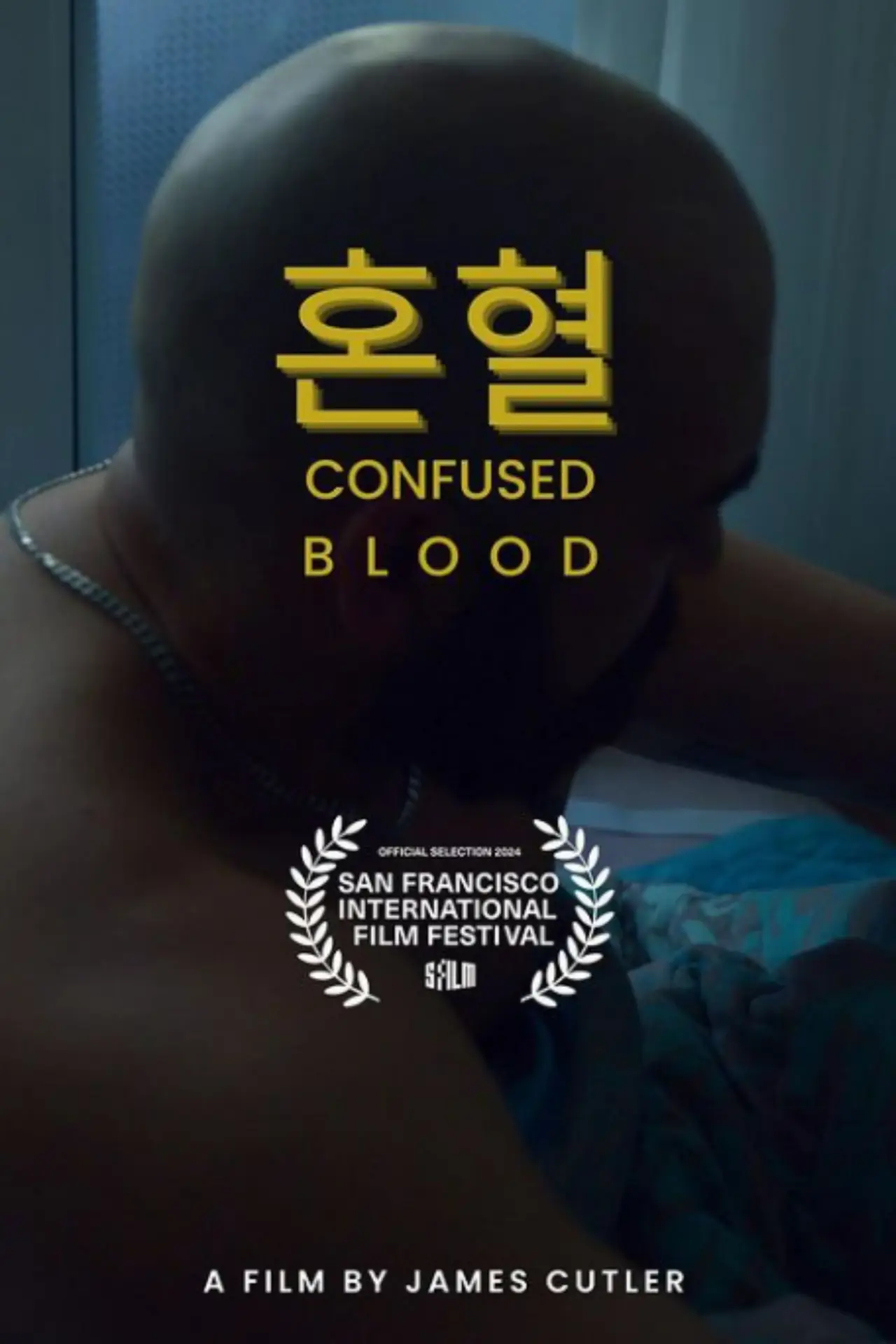 Movie poster "Confused Blood"