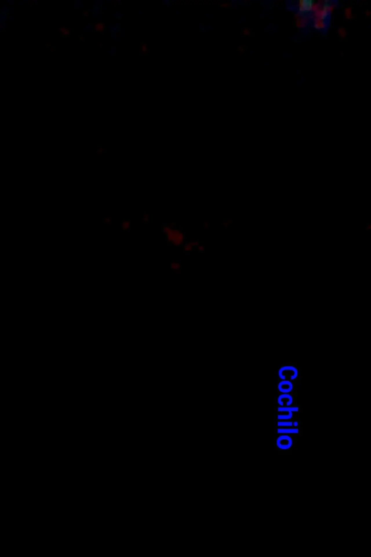 Movie poster "Cochilo"