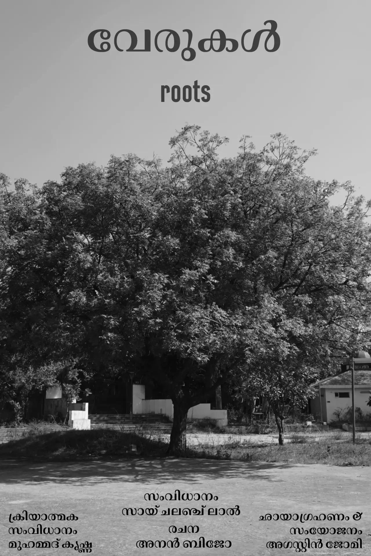 Movie poster "Roots"