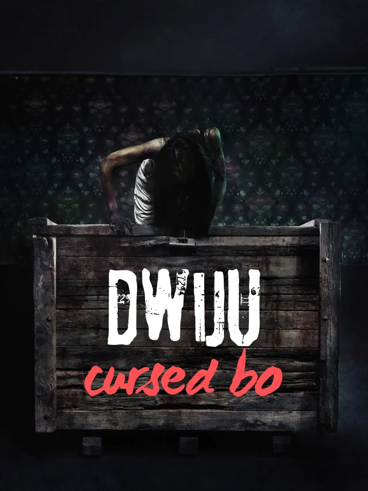 Movie poster "Dwiju: Cursed Box"