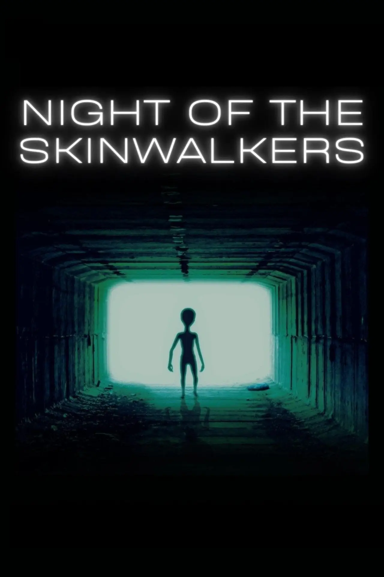 Movie poster "Night of the Skinwalkers"