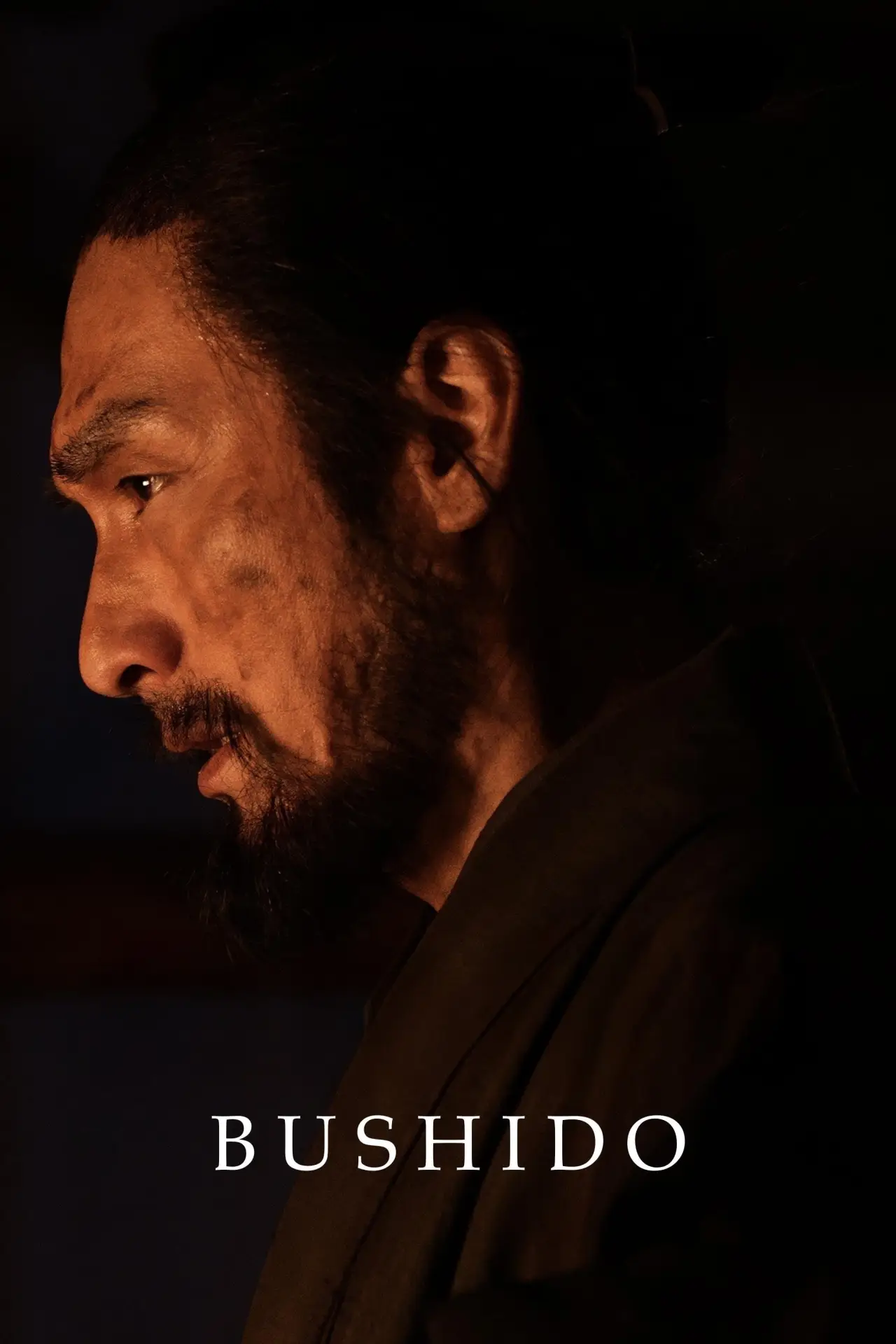 Movie poster "Bushido"