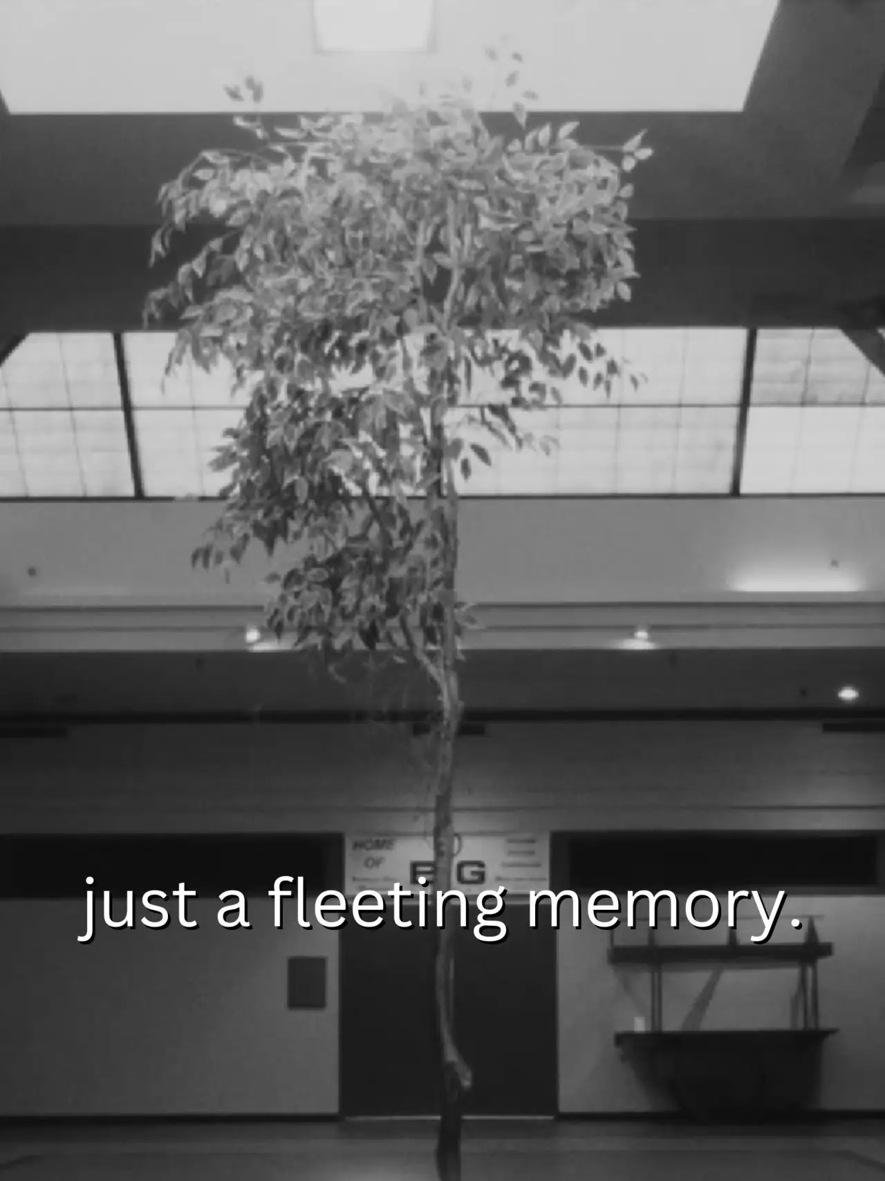 Movie poster "just a fleeting memory."
