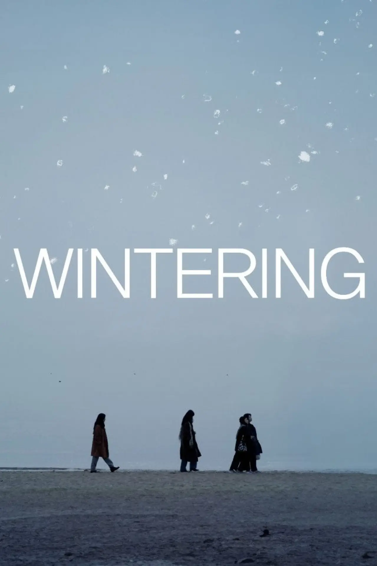 Movie poster "Wintering"