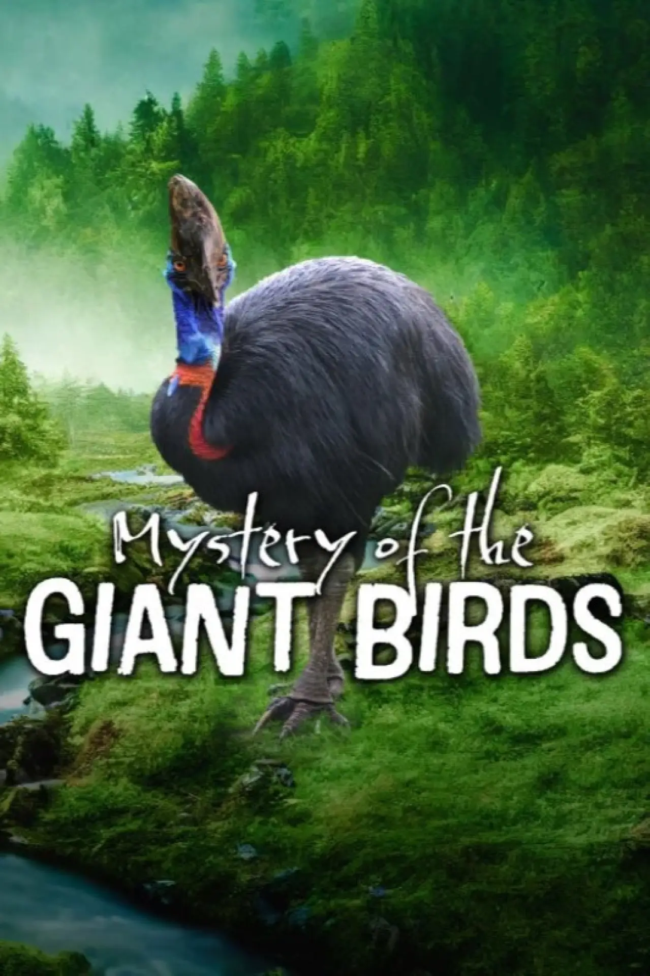 Movie poster "Mystery of the Giant Birds"