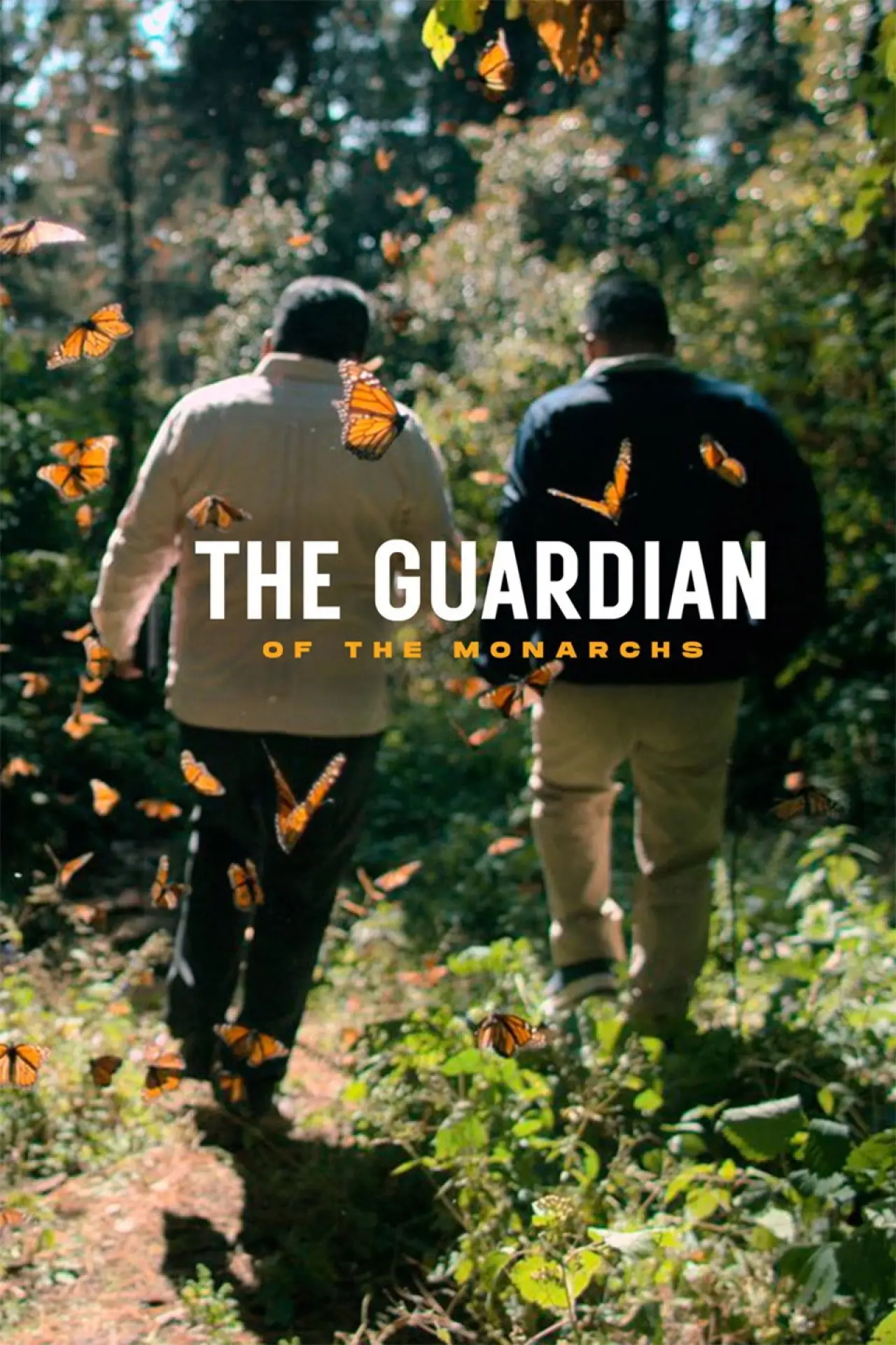 Movie poster "The Guardian of the Monarchs"