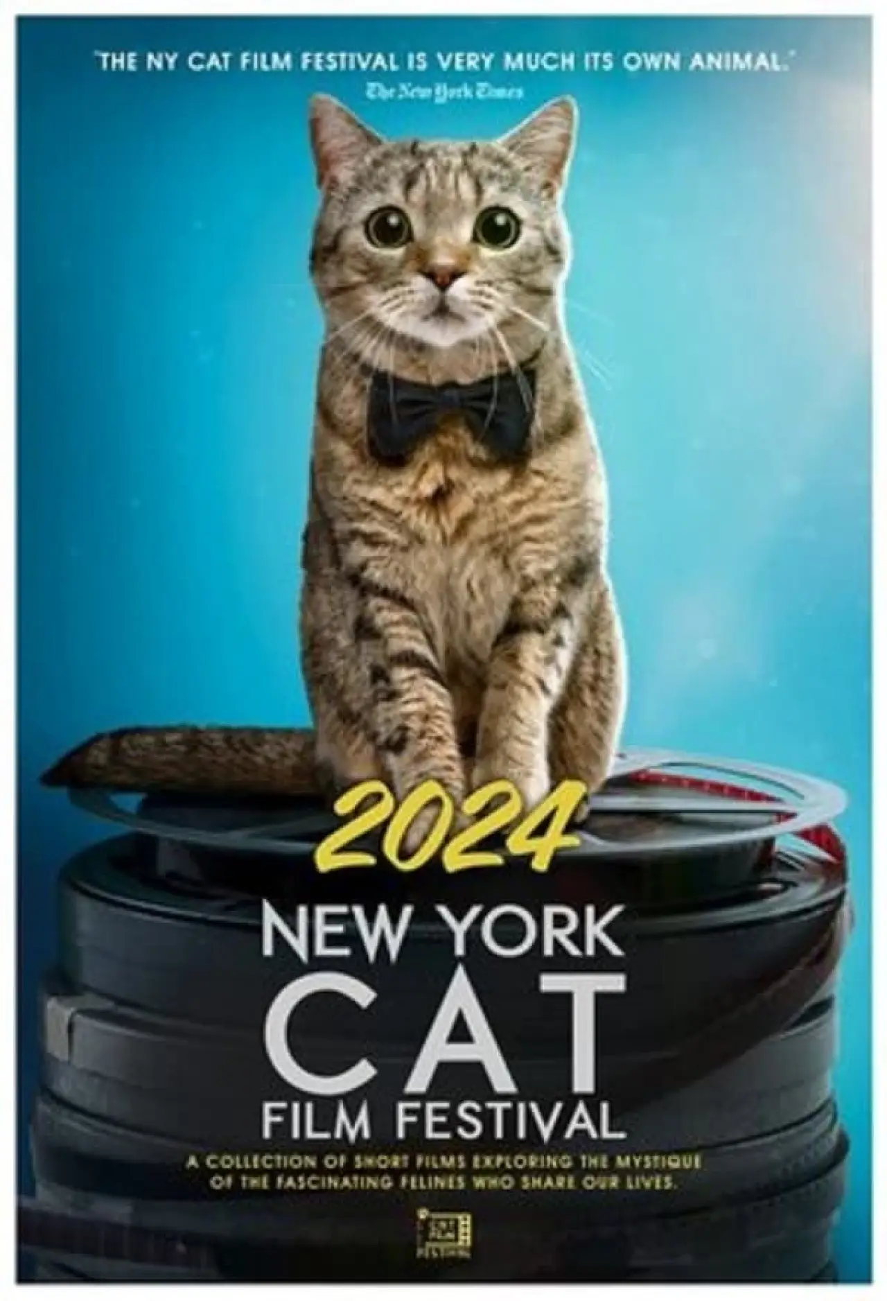Movie poster "2023-2024 New York Cat Film Festival"