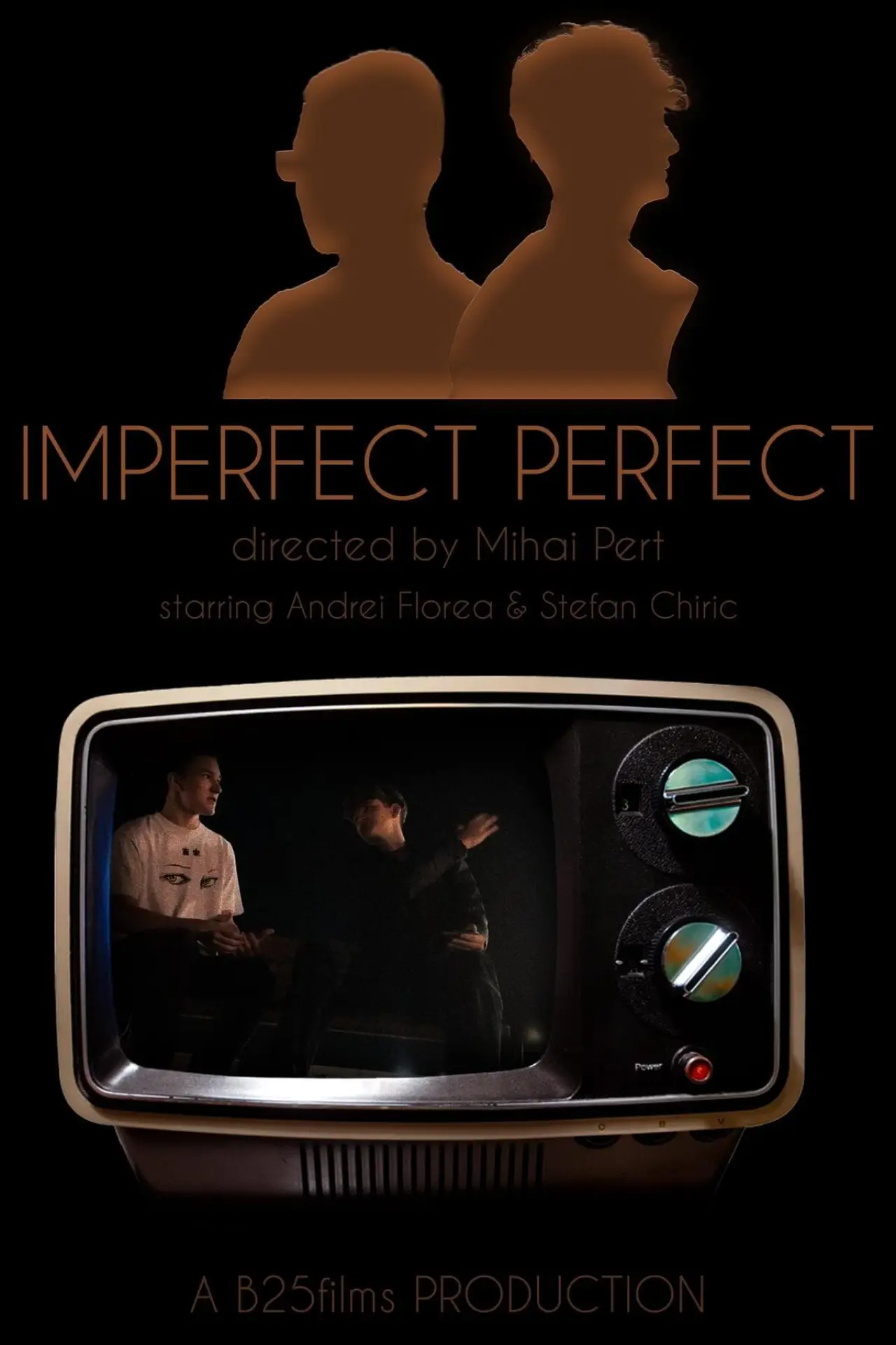 Movie poster "Imperfectly Perfect"
