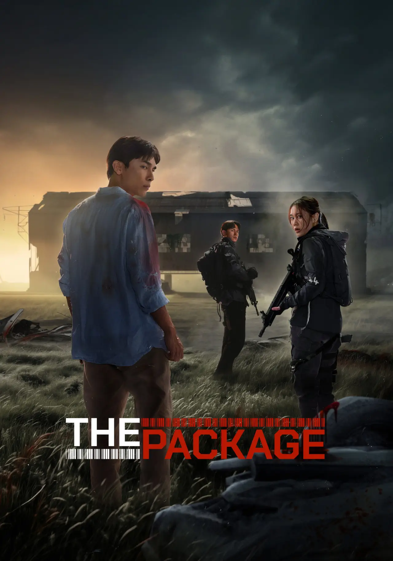 Movie poster "The Package"