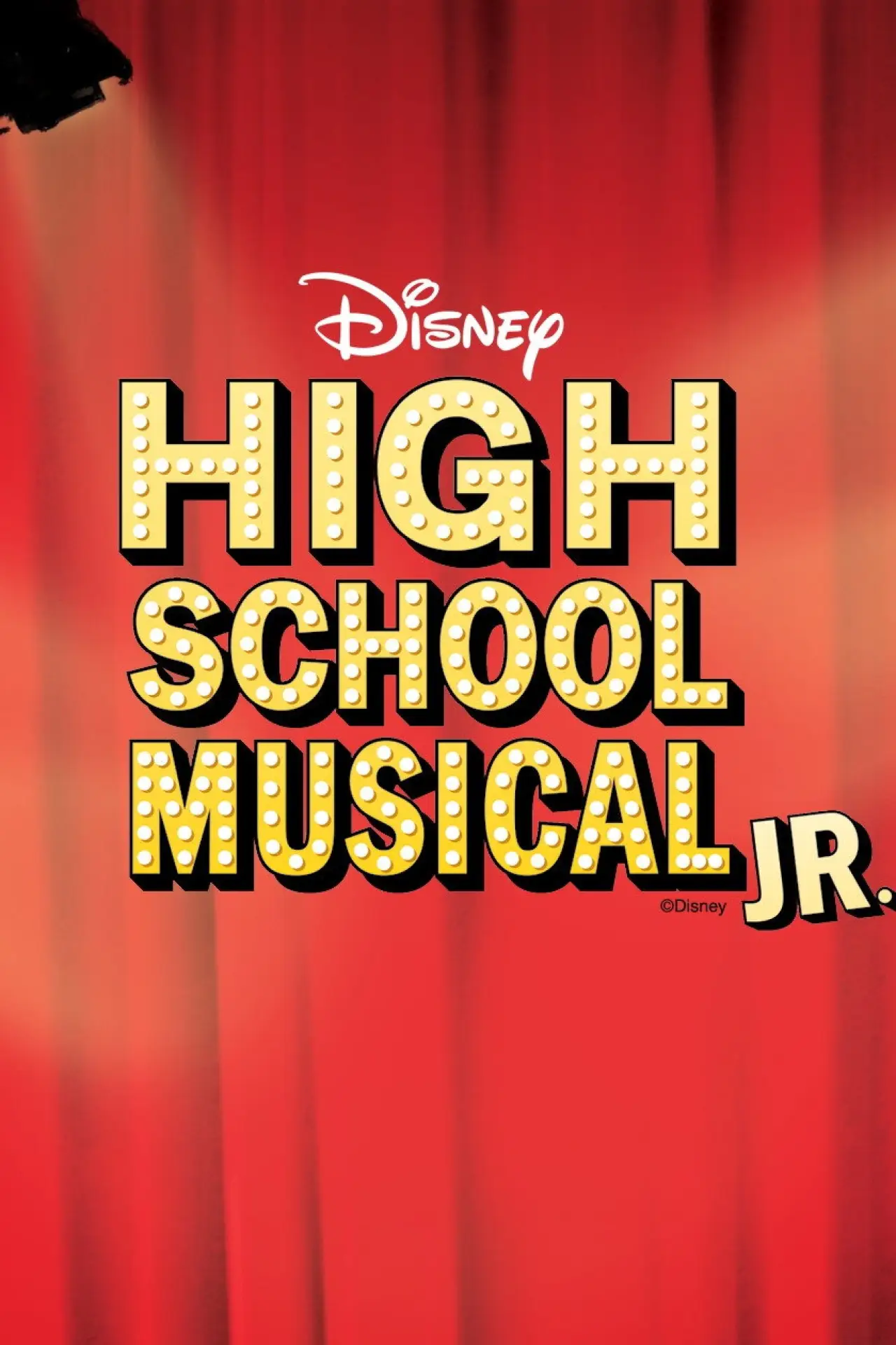 Movie poster "High School Musical Junior"