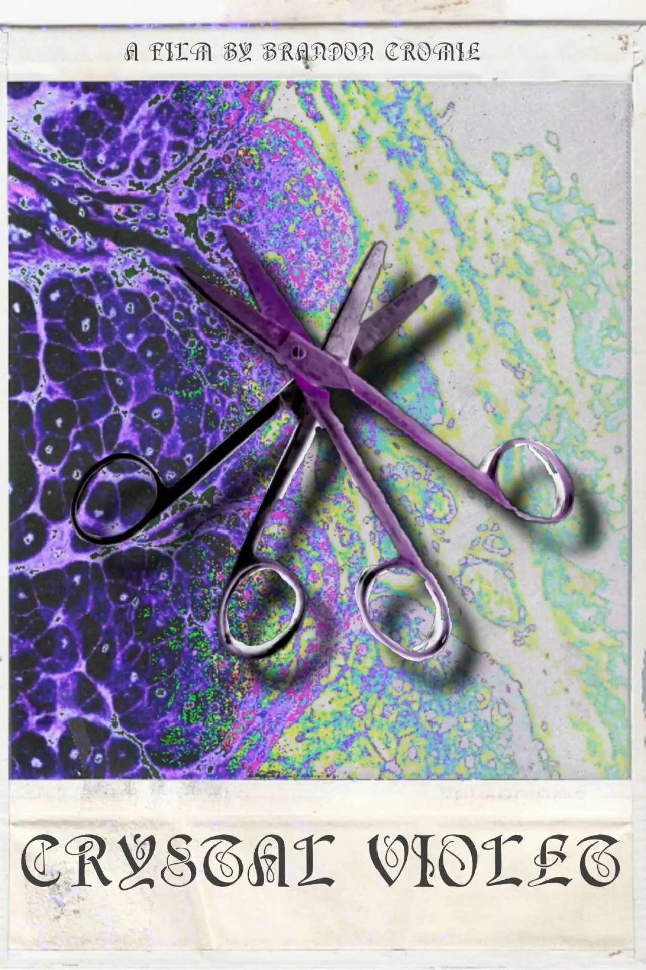 Movie poster "Crystal Violet"