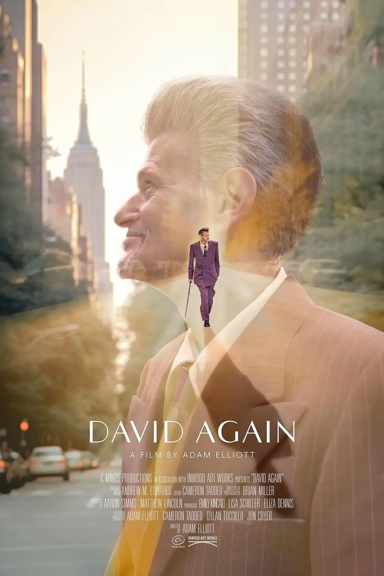 Movie poster "David Again"