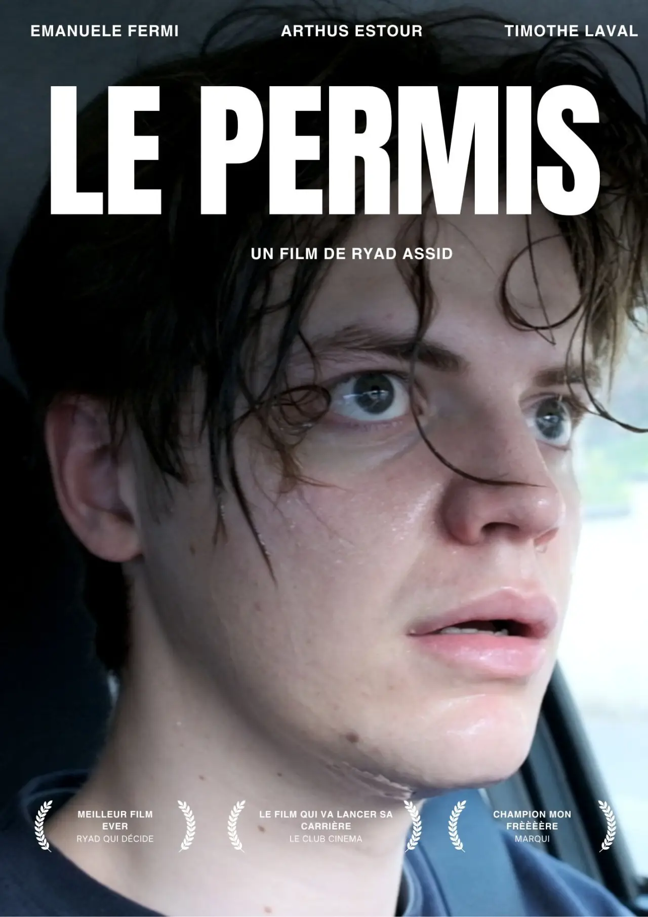 Movie poster "LE PERMIS"