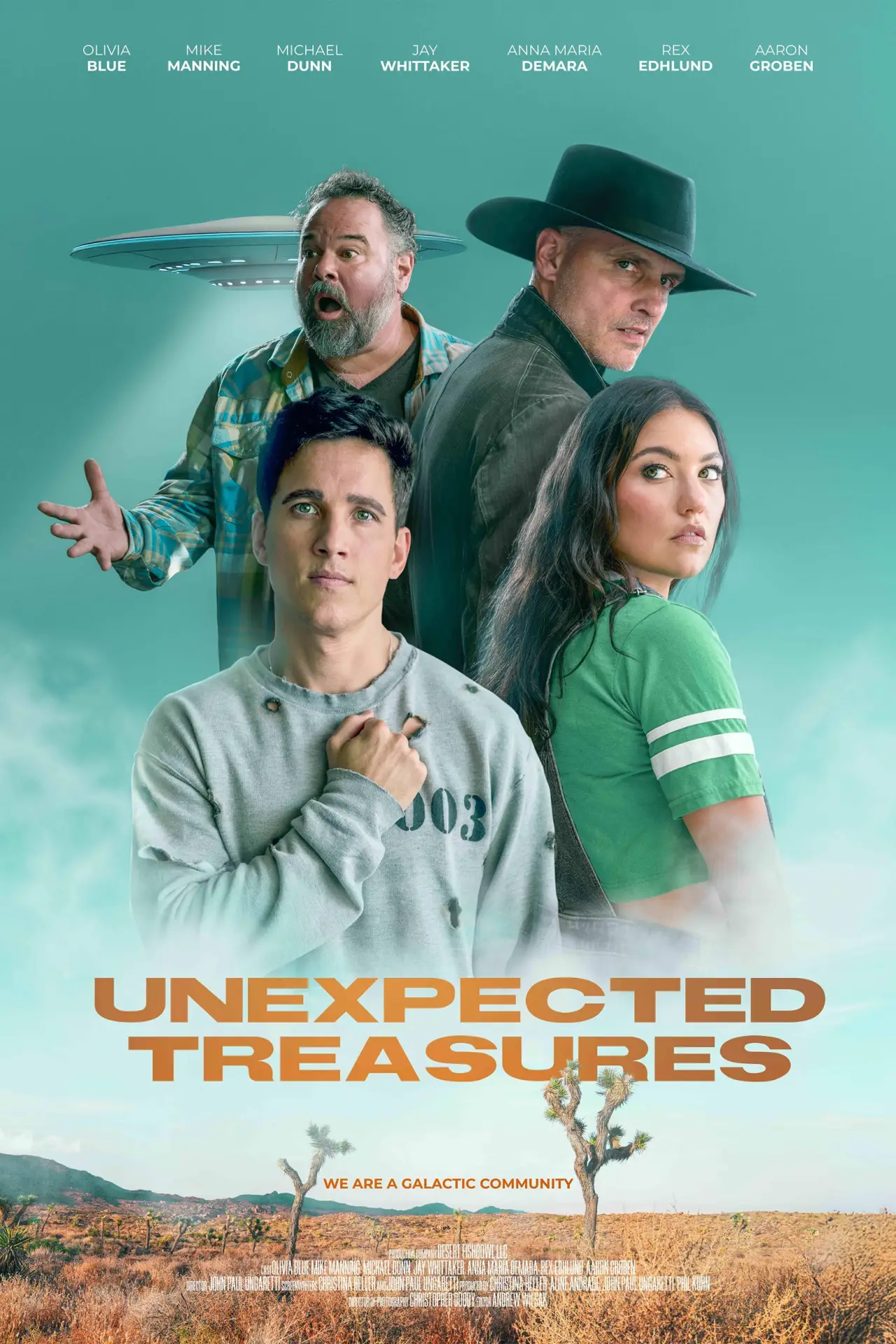 Movie poster "Unexpected Treasures"