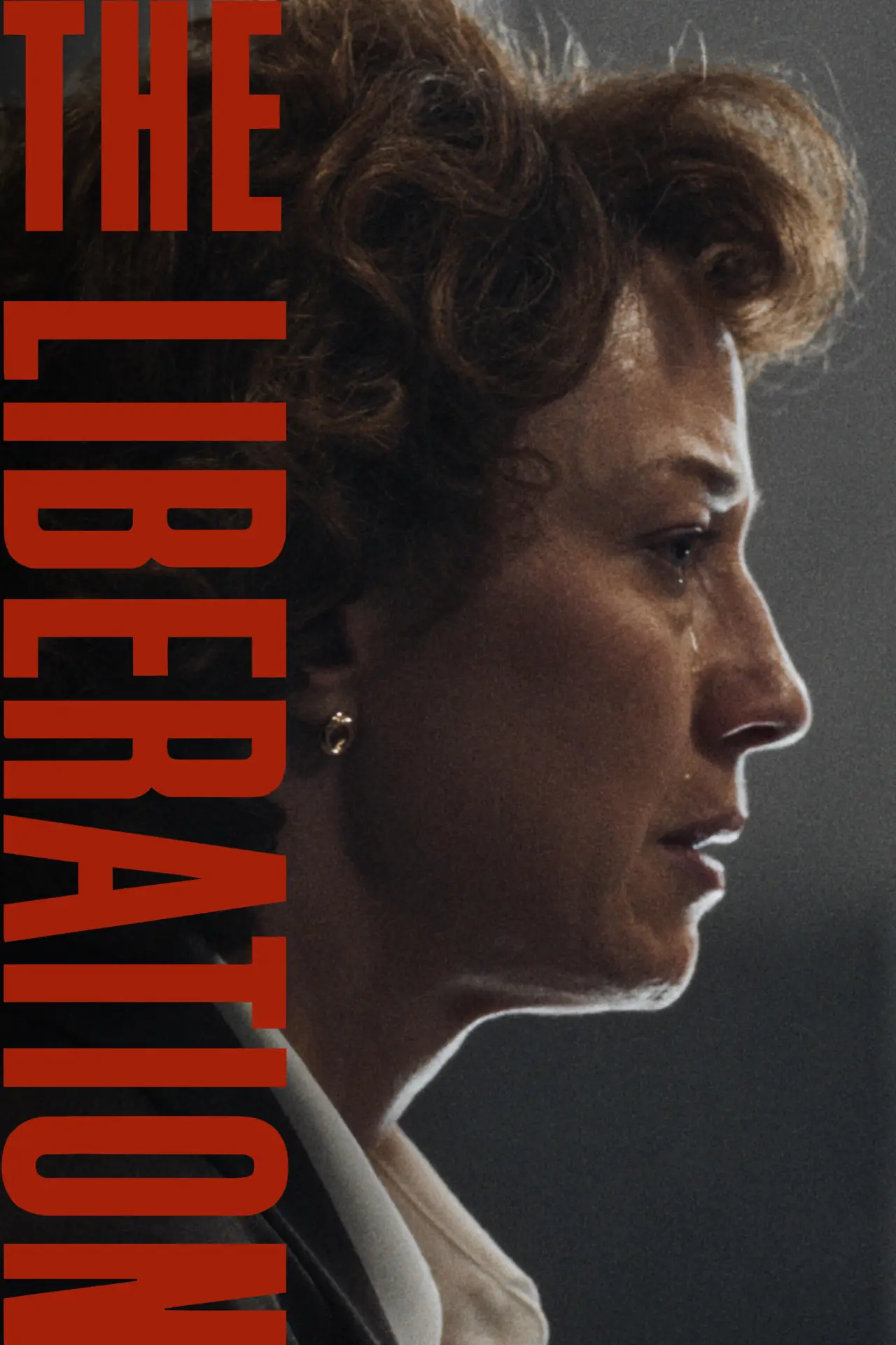 Movie poster "The Liberation"