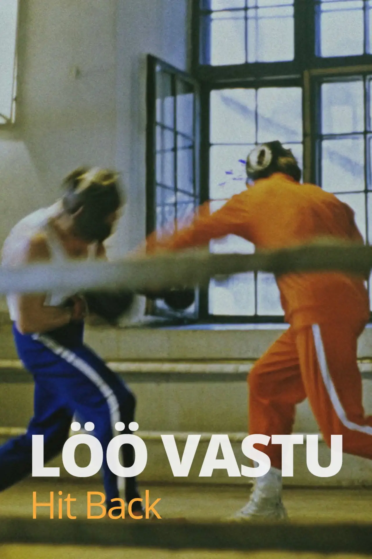 Movie poster "Hit Back"