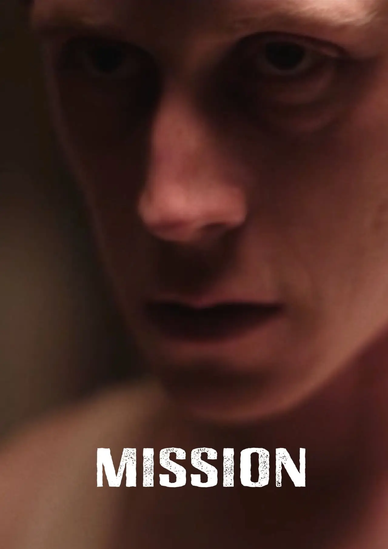 Movie poster "Mission"