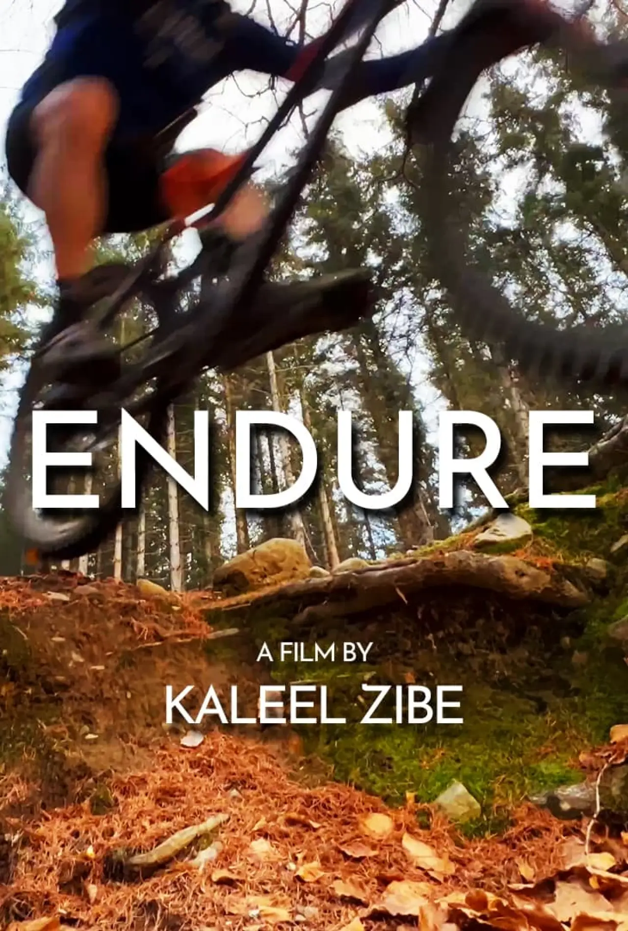 Movie poster "Endure"