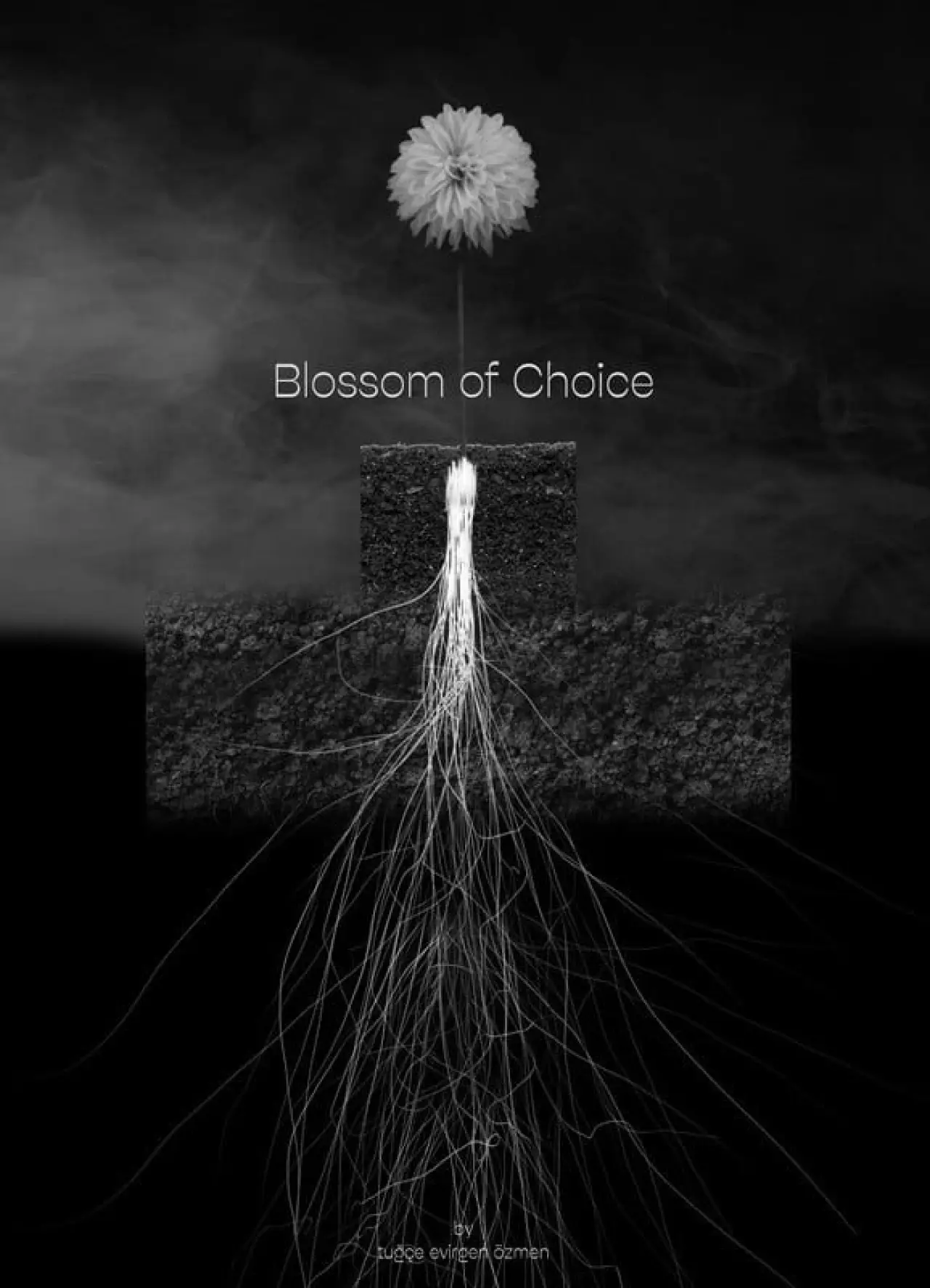 Movie poster "Blossom of Choice"