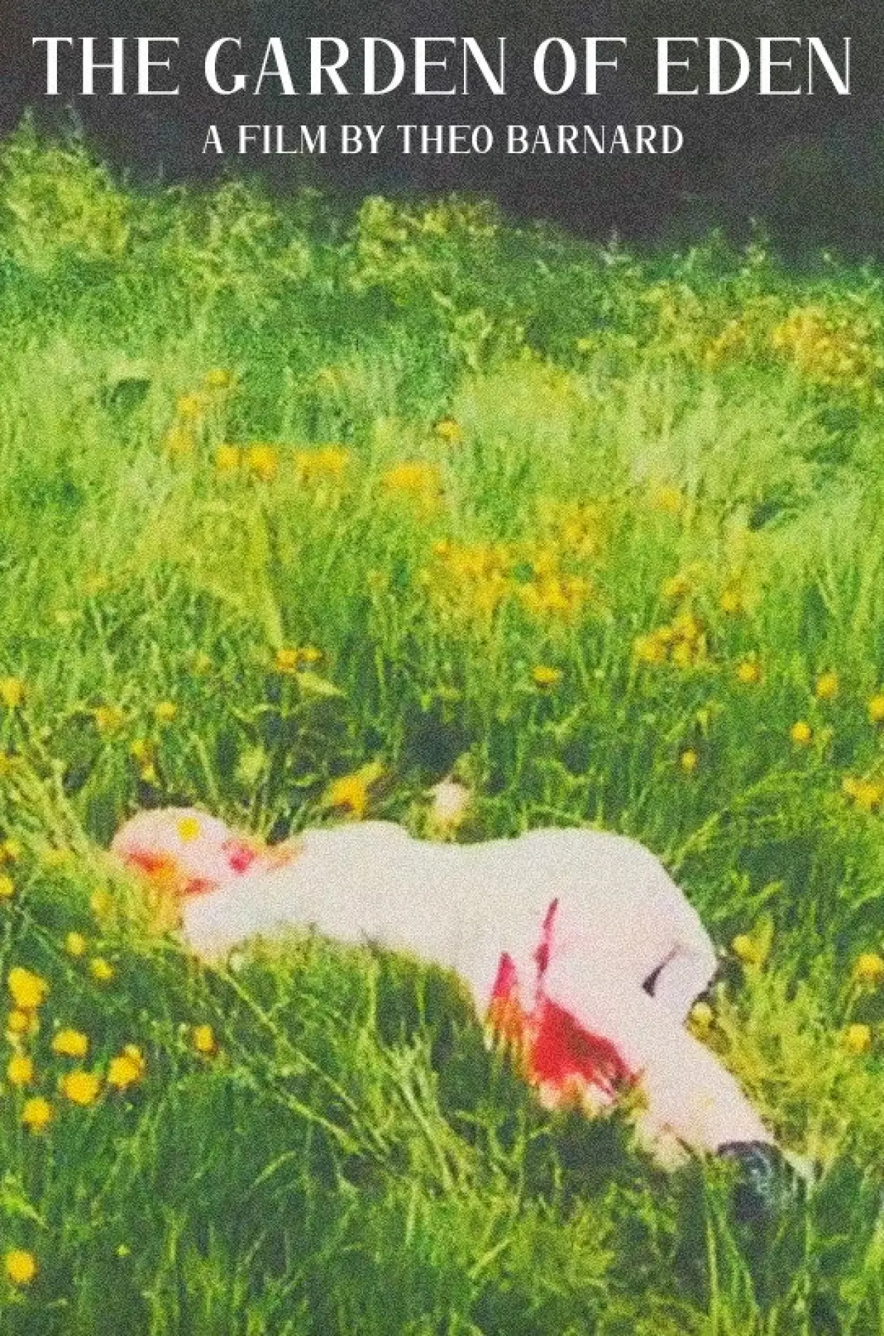 Movie poster "The Garden of Eden"