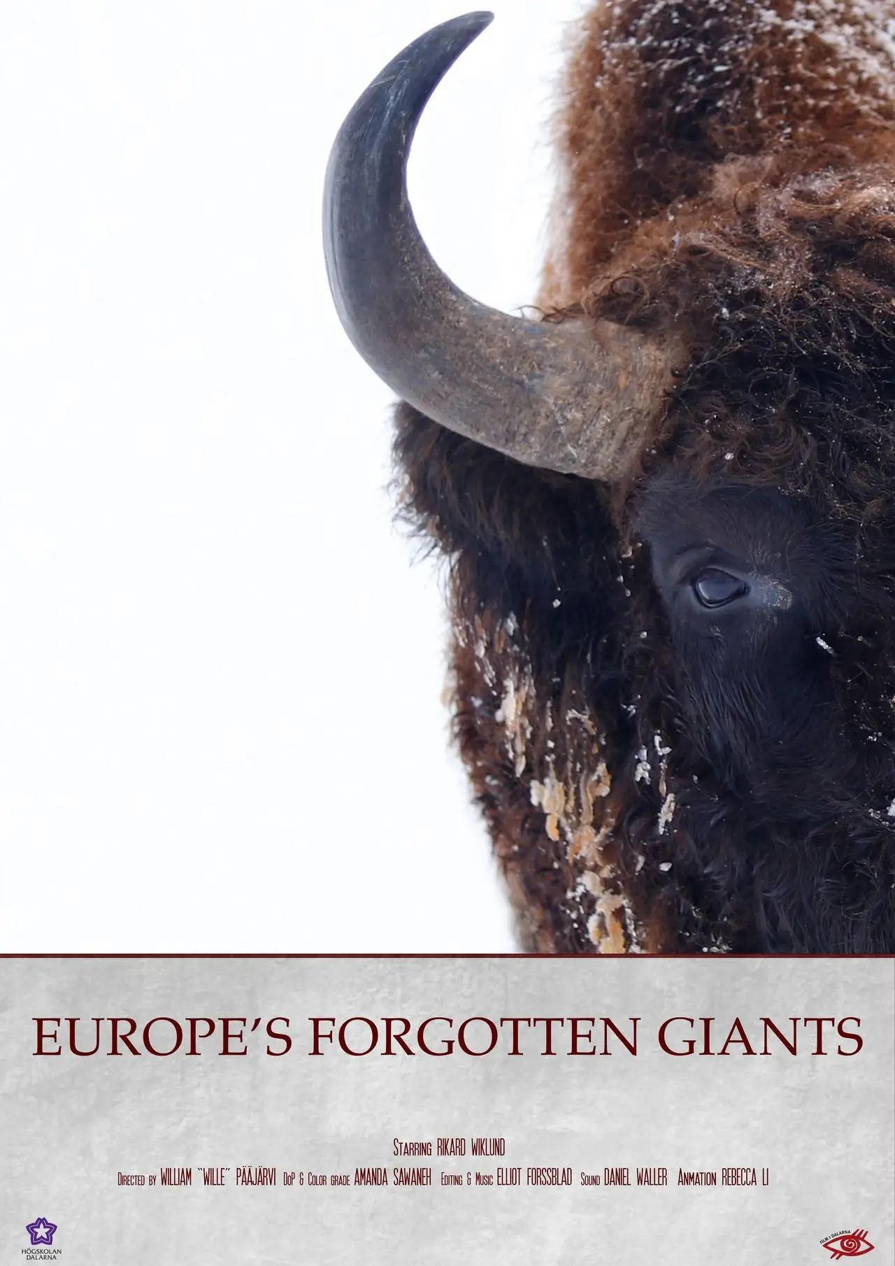 Movie poster "Europe