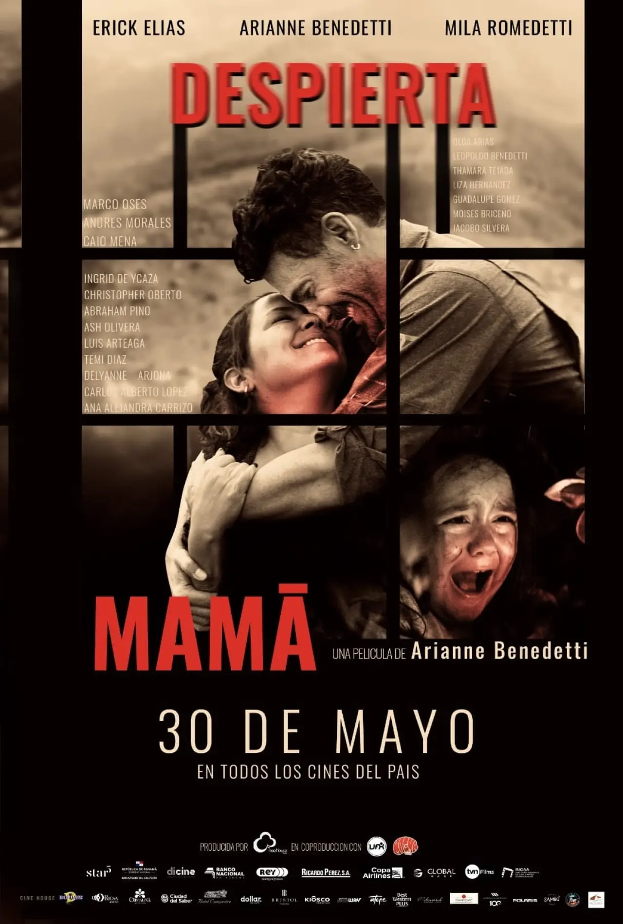 Movie poster "Wake Up Mom"