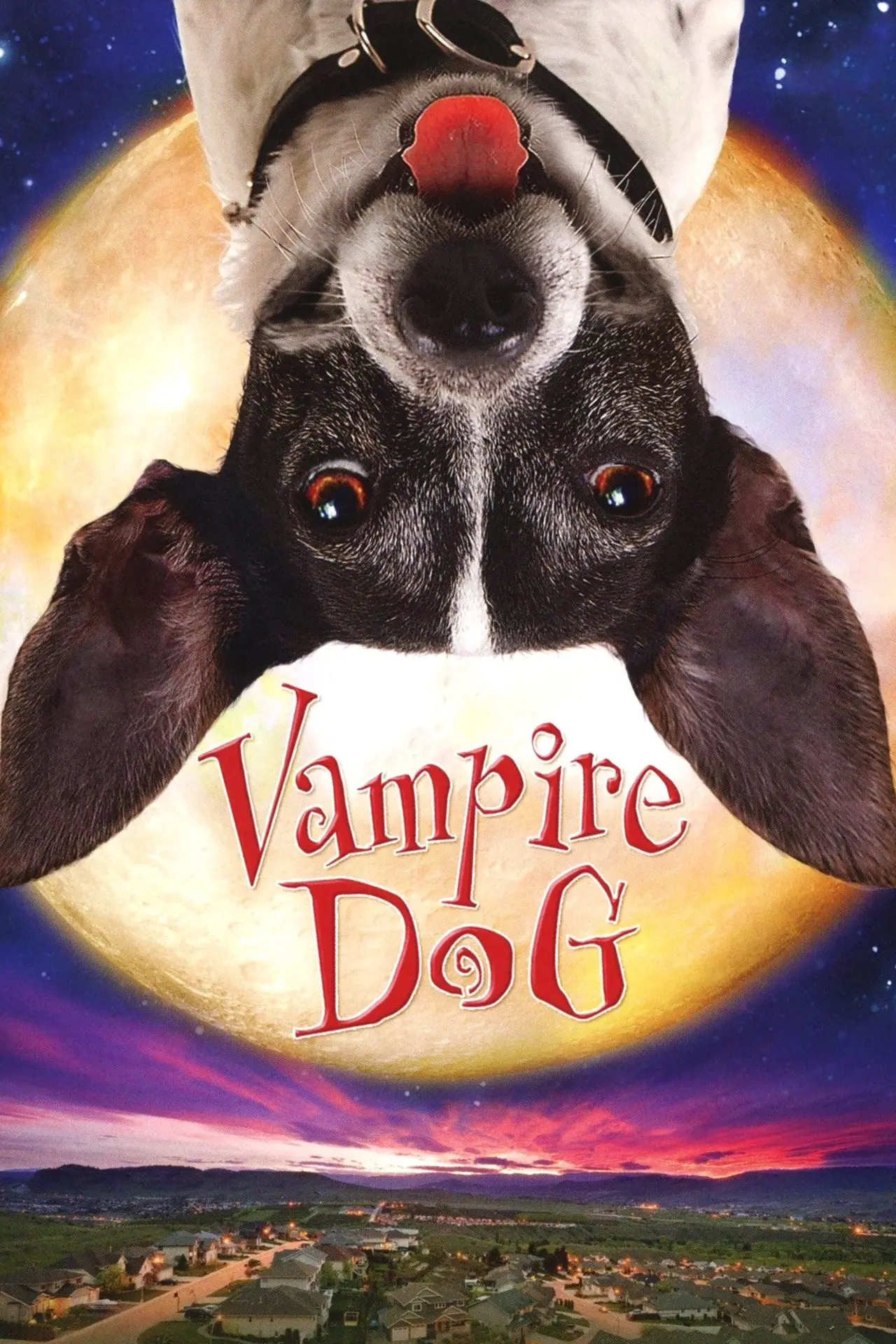Movie poster "Vampire Dog"