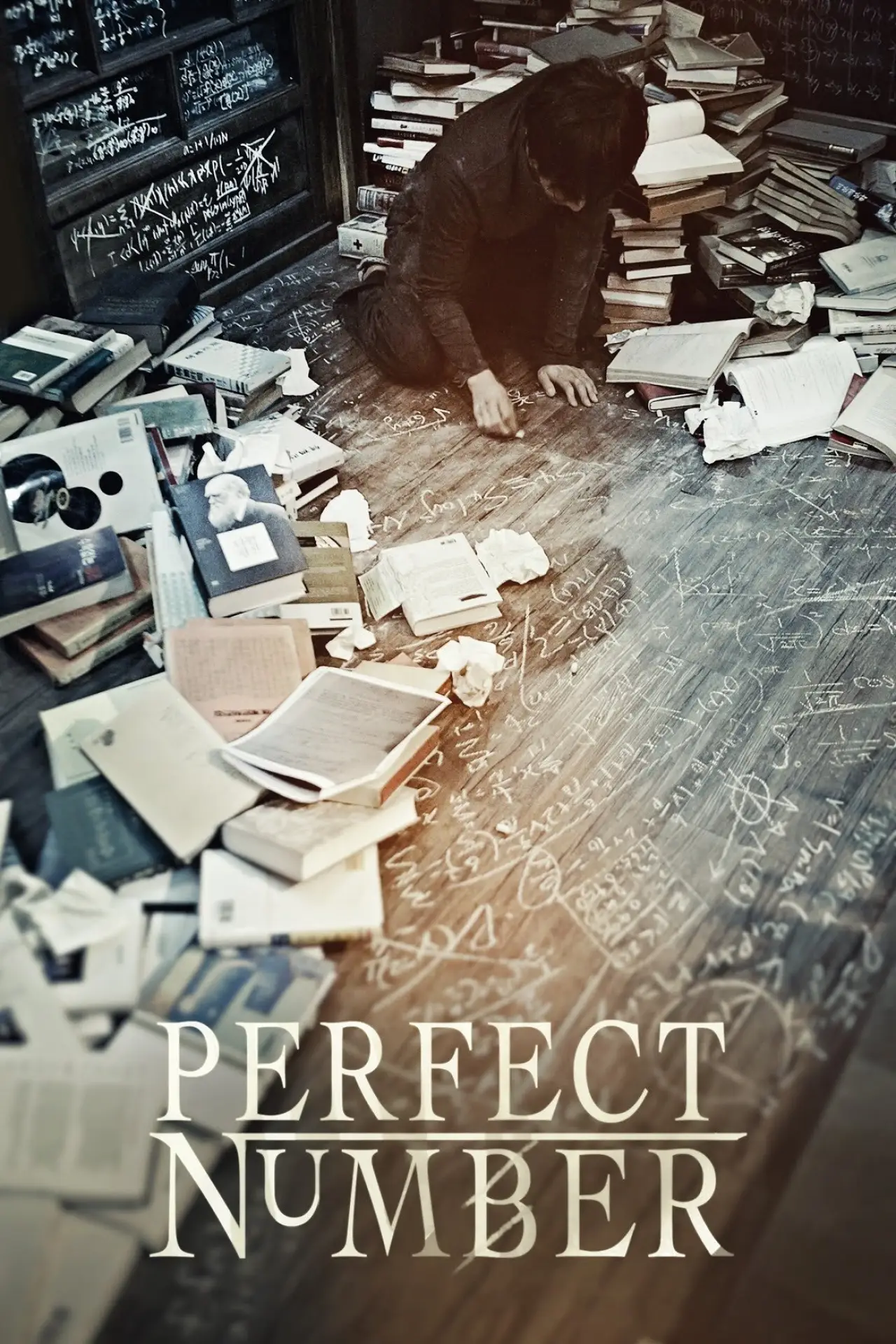 Movie poster "Perfect Number"