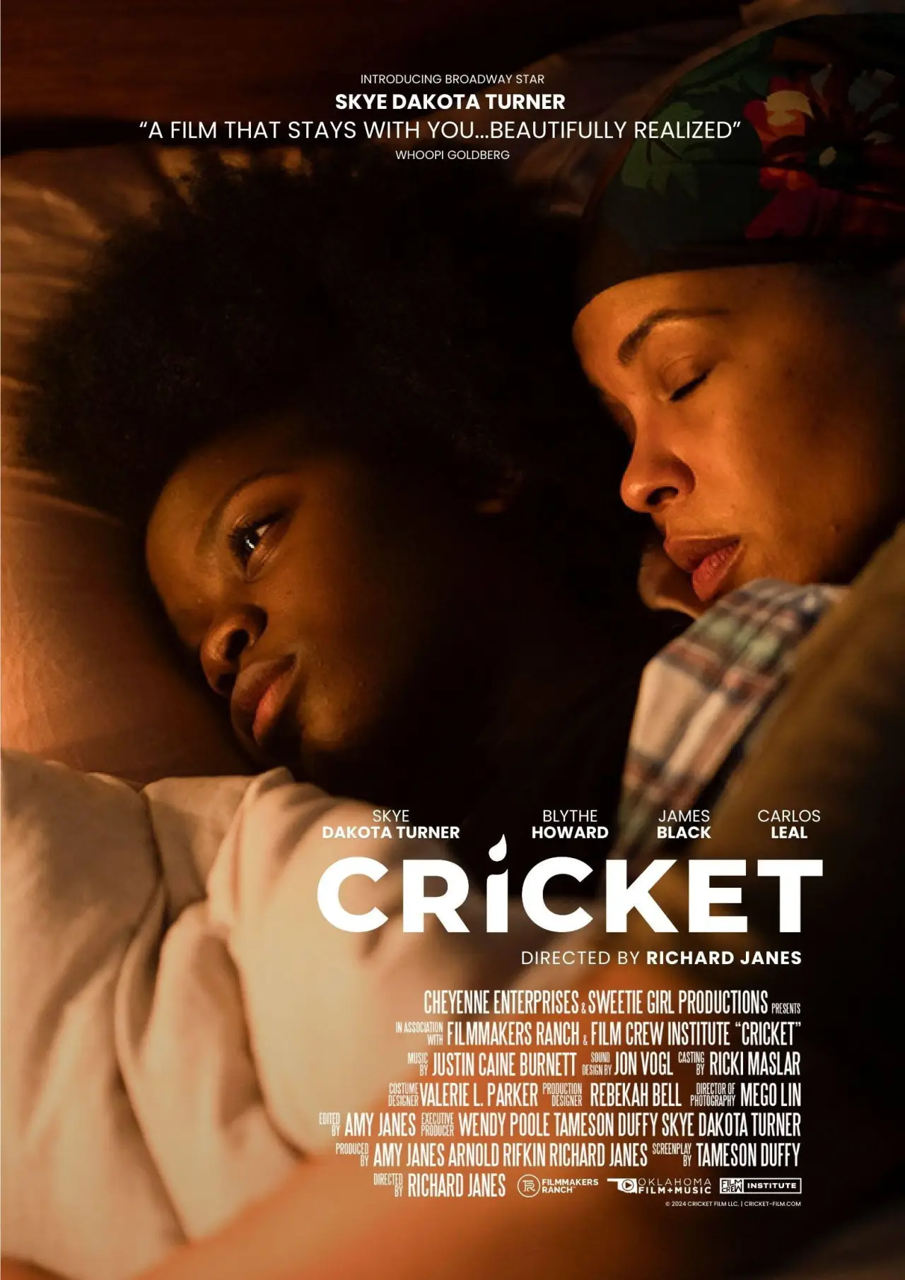 Movie poster "Cricket"