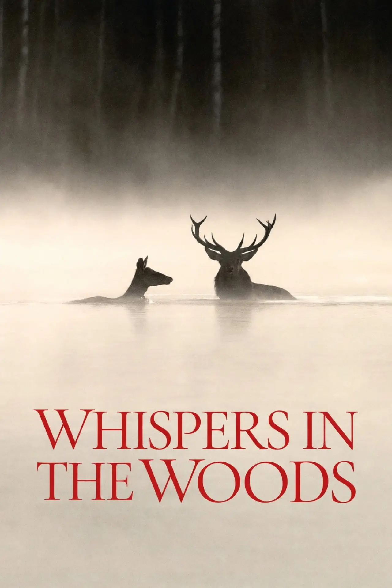 Movie poster "Whispers in the Woods"
