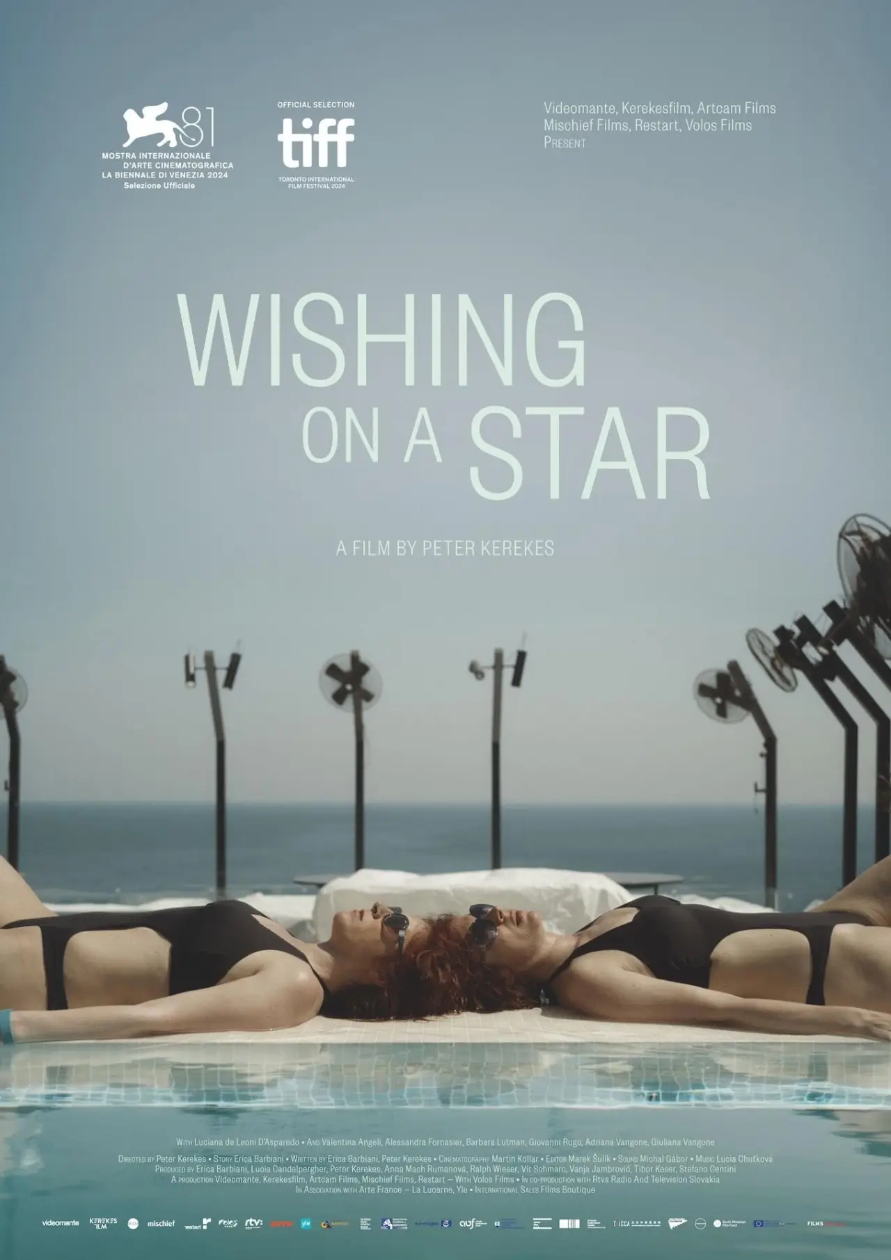 Movie poster "Wishing on a Star"
