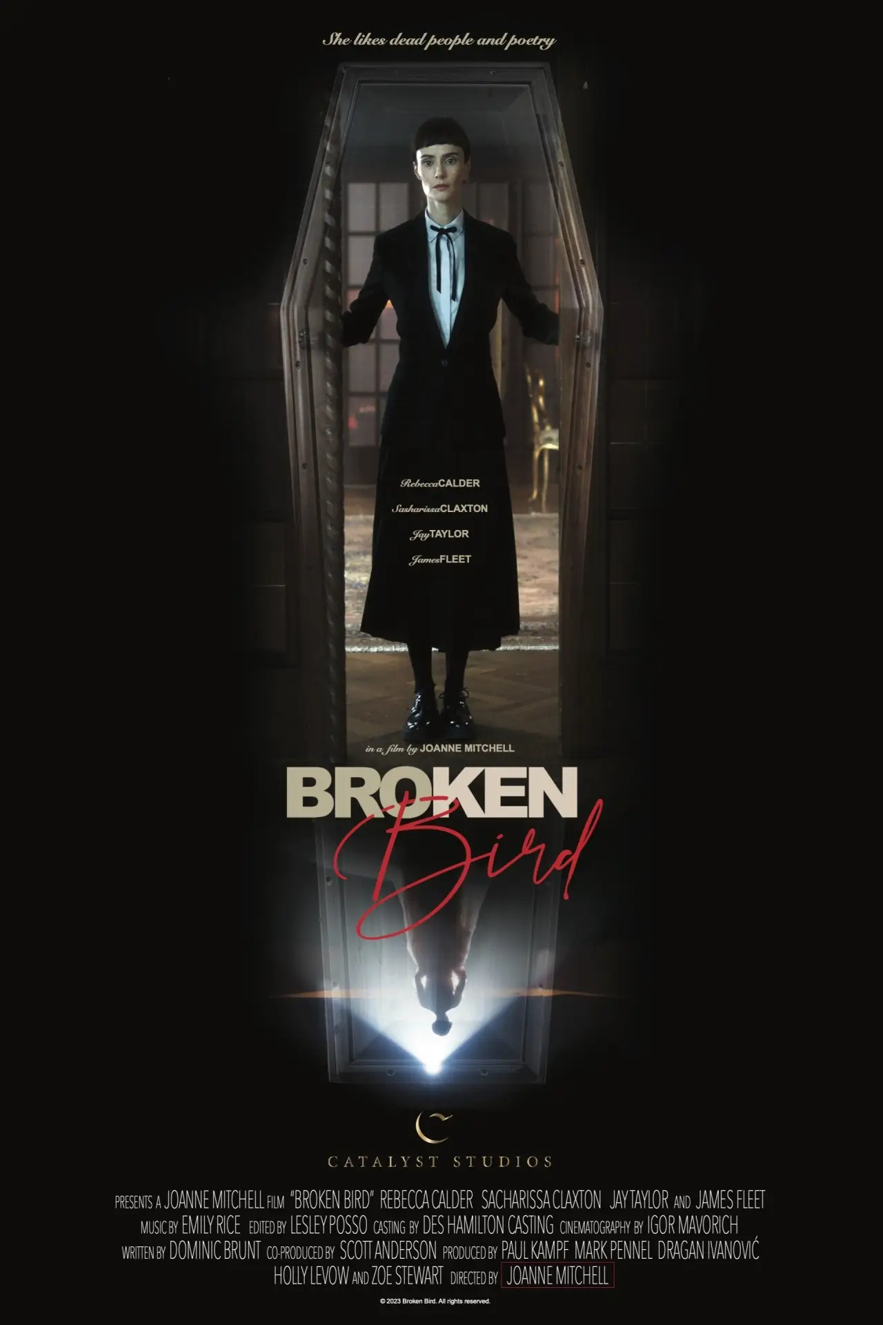 Movie poster "Broken Bird"