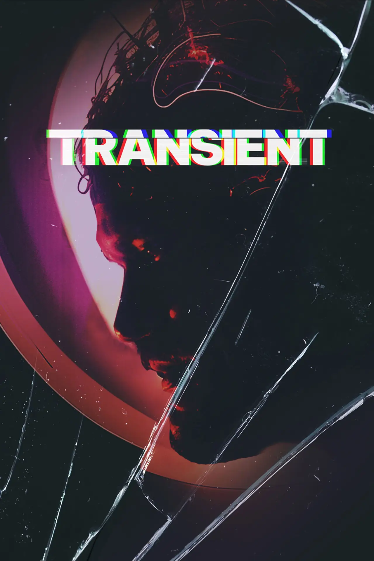 Movie poster "Transient"