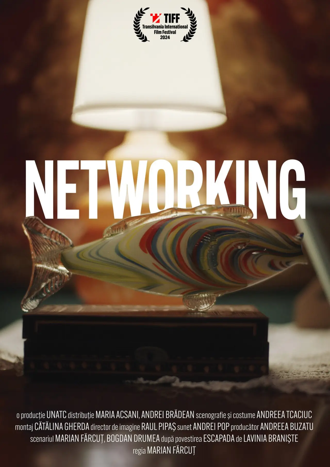 Movie poster "Networking"